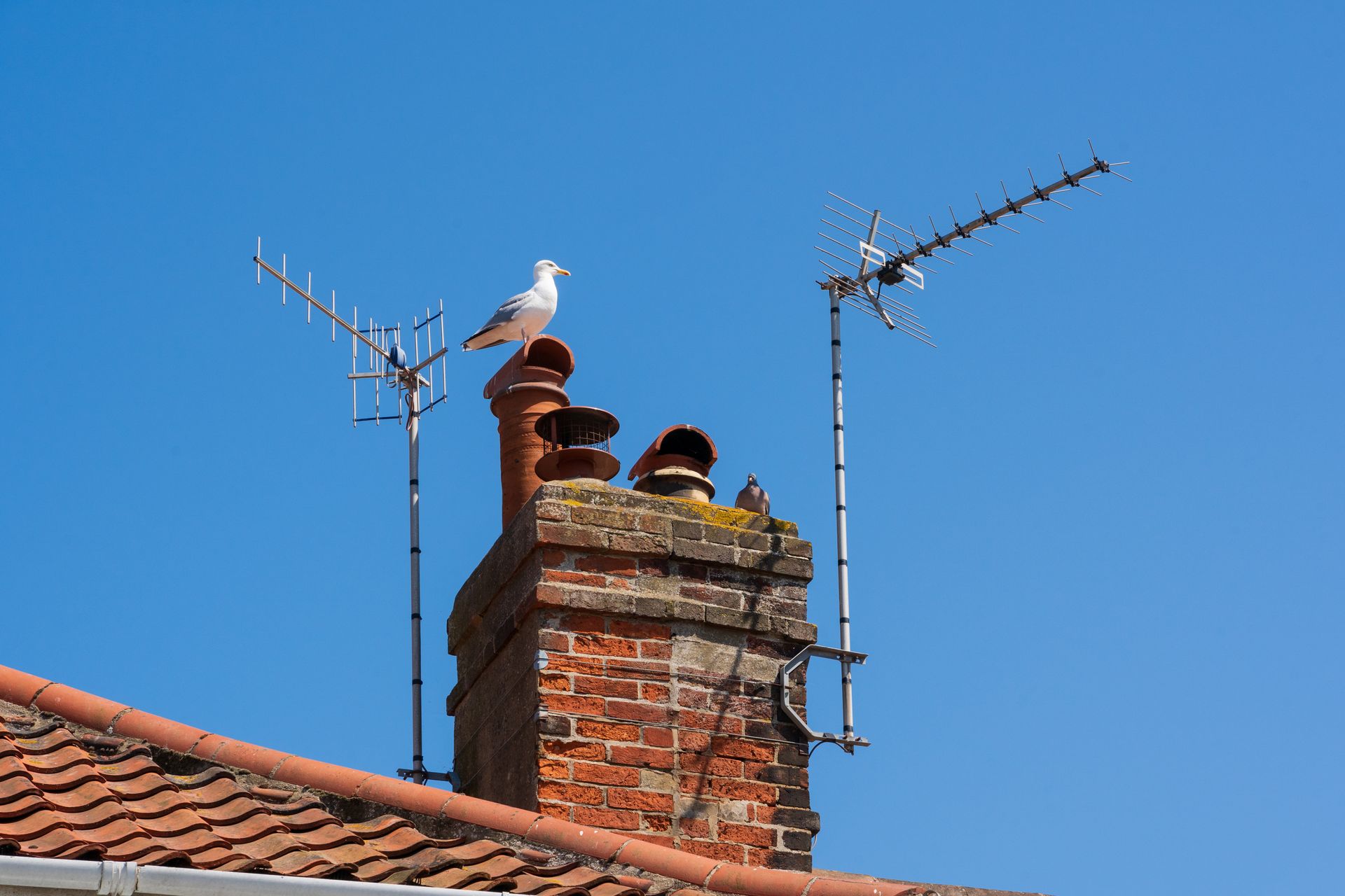 Co z MUX-5 i multipleksami eksperymentalnymi? UKE odpowiada