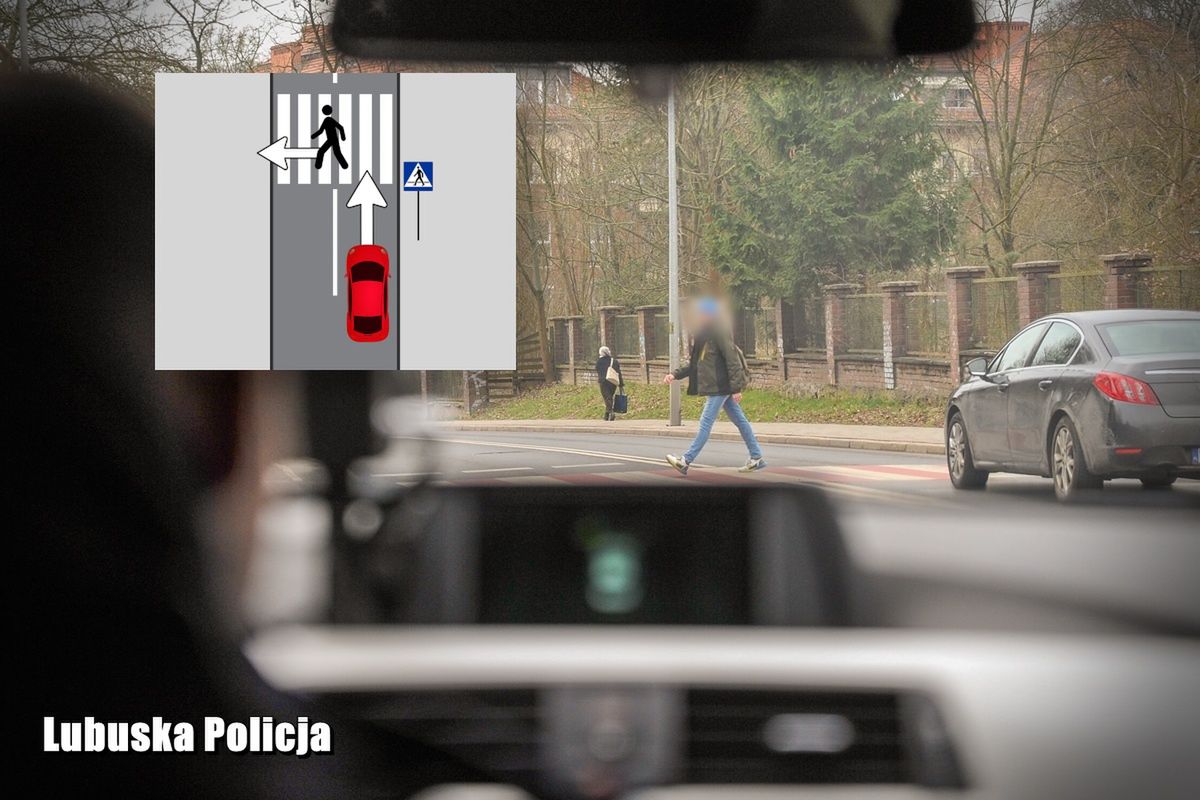 Piesza przeszła. Czy można ruszyć? 1500 zł mandatu za błąd