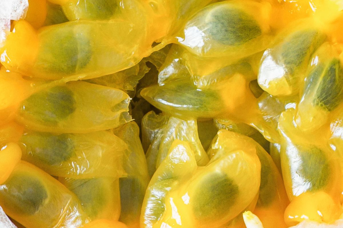 Kup na zakupach "na próbę". Skórka może zniechęcić, ale to owoc idealny dla sercowców