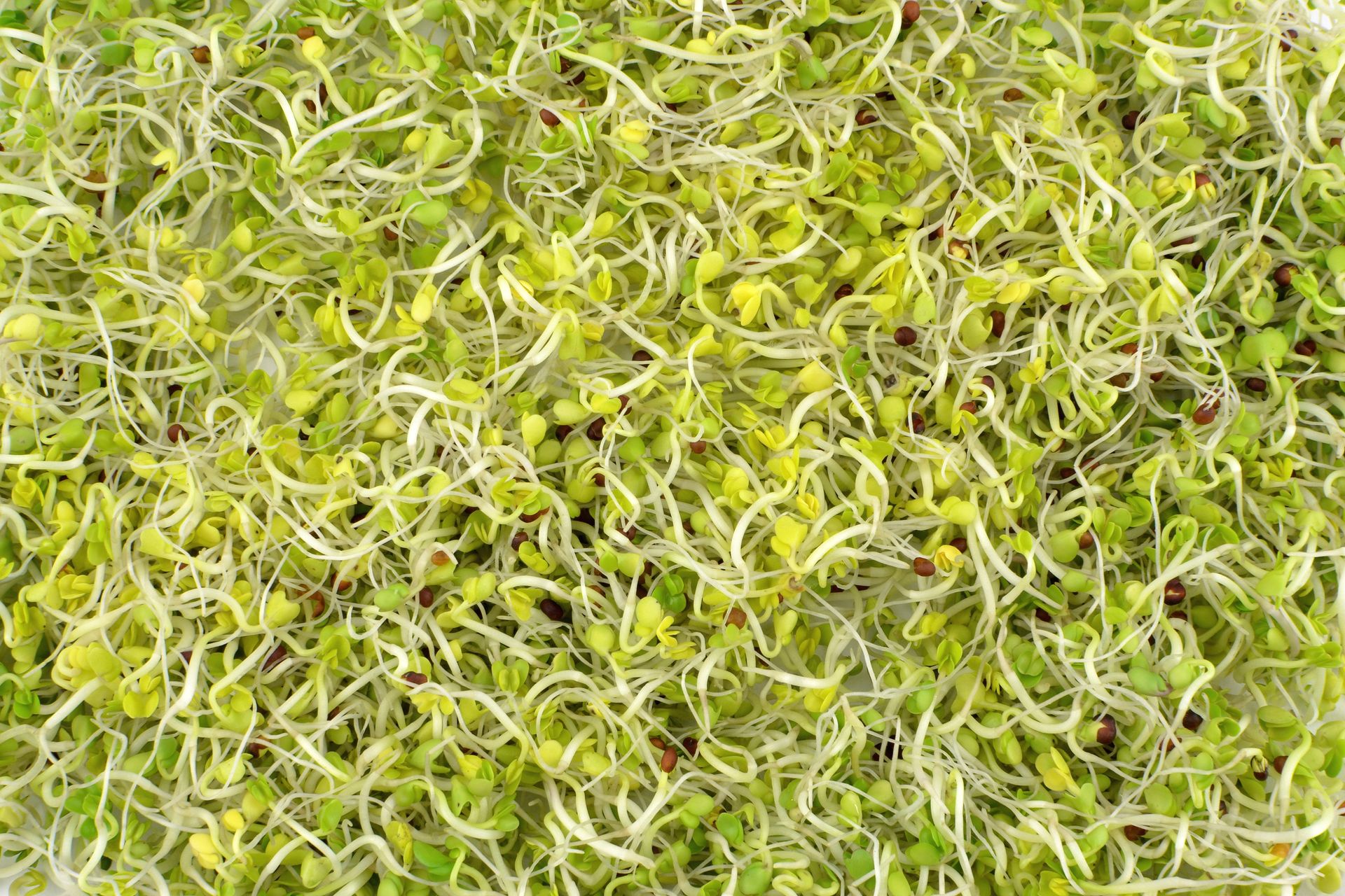 Kładę na kanapki lub do zupy krem. Najprostszy sposób na porcję błonnika bez zbędnych kalorii