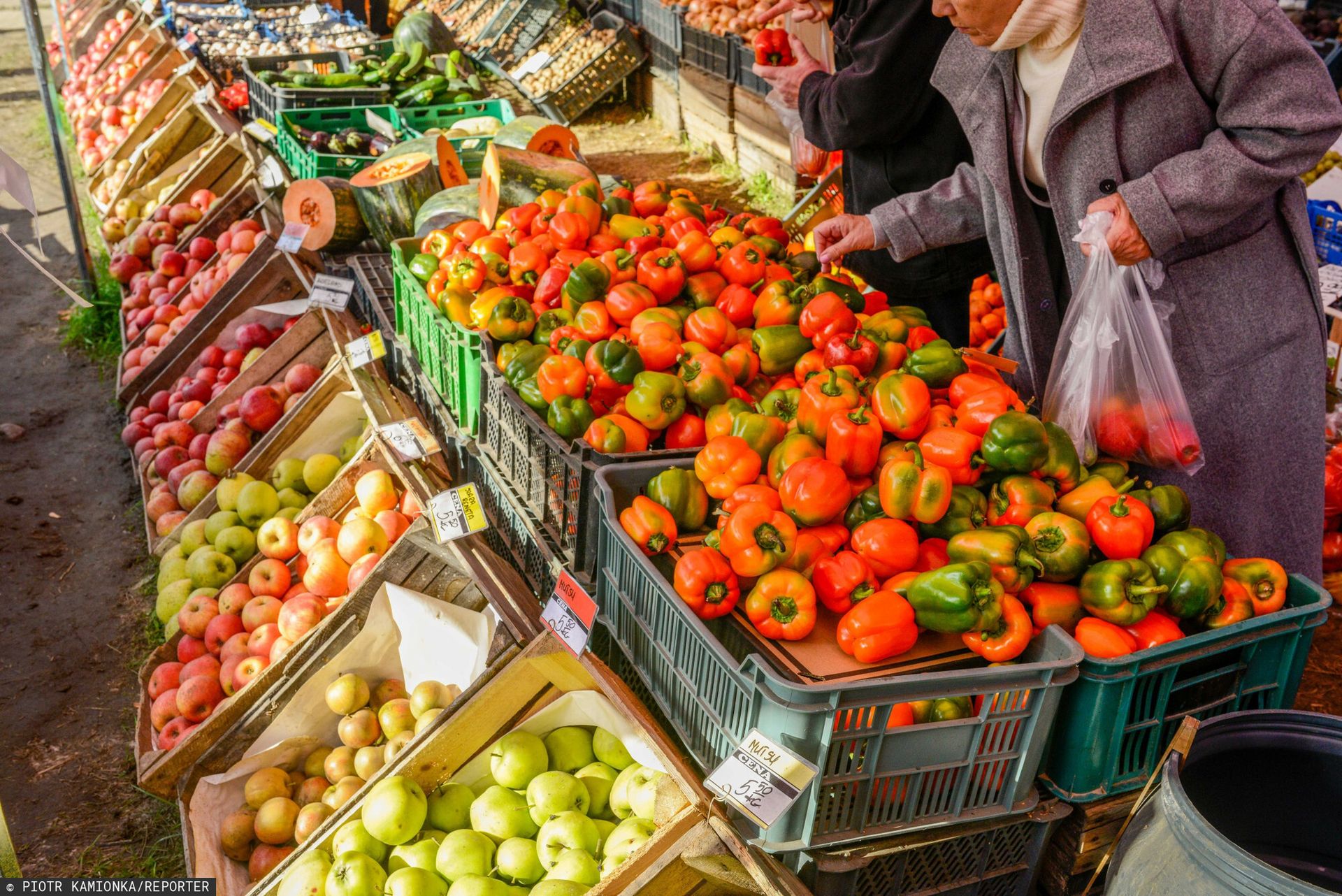 Wszyscy polują na fioletowe. Warzywne złoto za 40 zł za kg