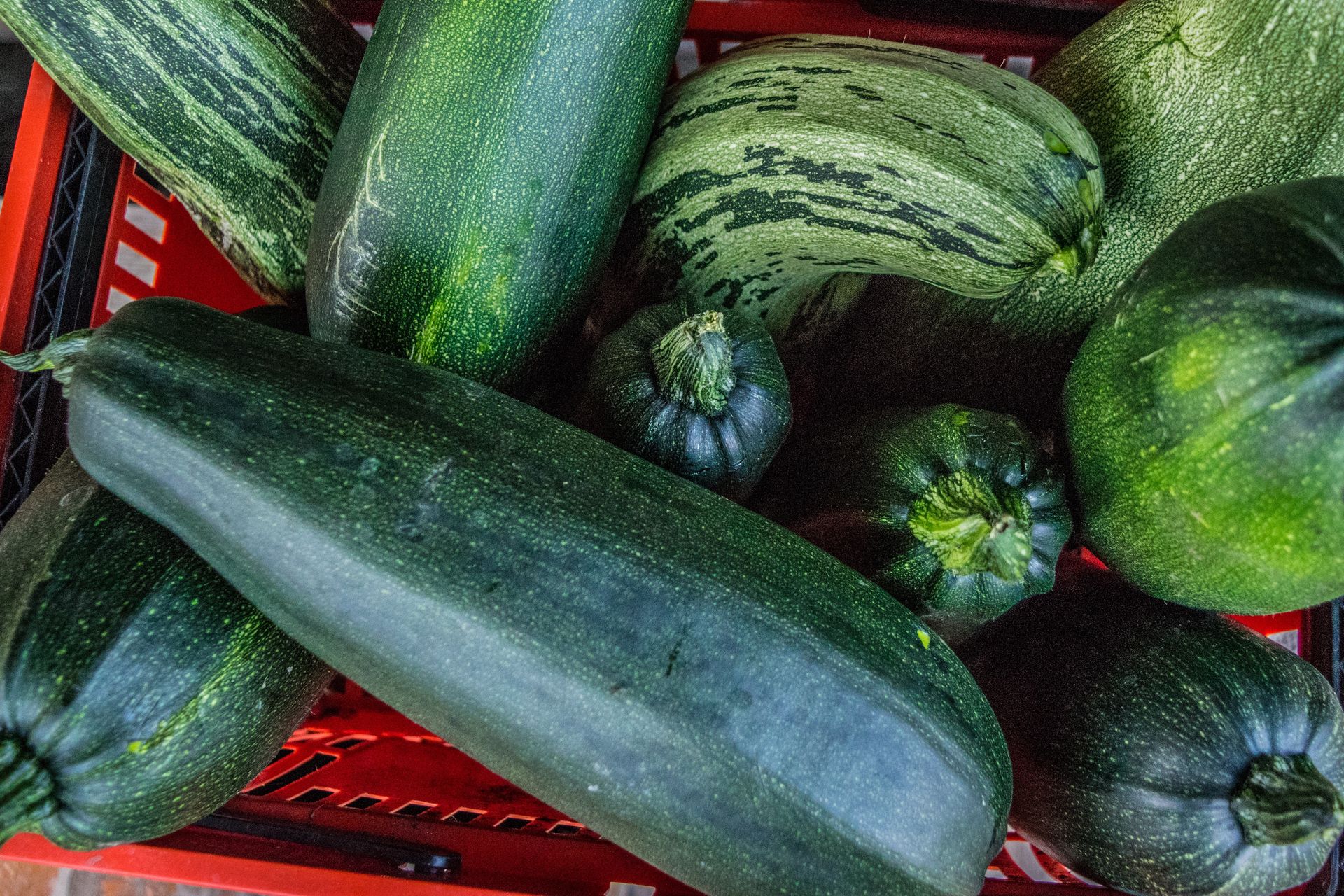 Już nie wyrzucam przerośniętej cukinii. Sąsiadka podpowiedziała mi prosty przepis!