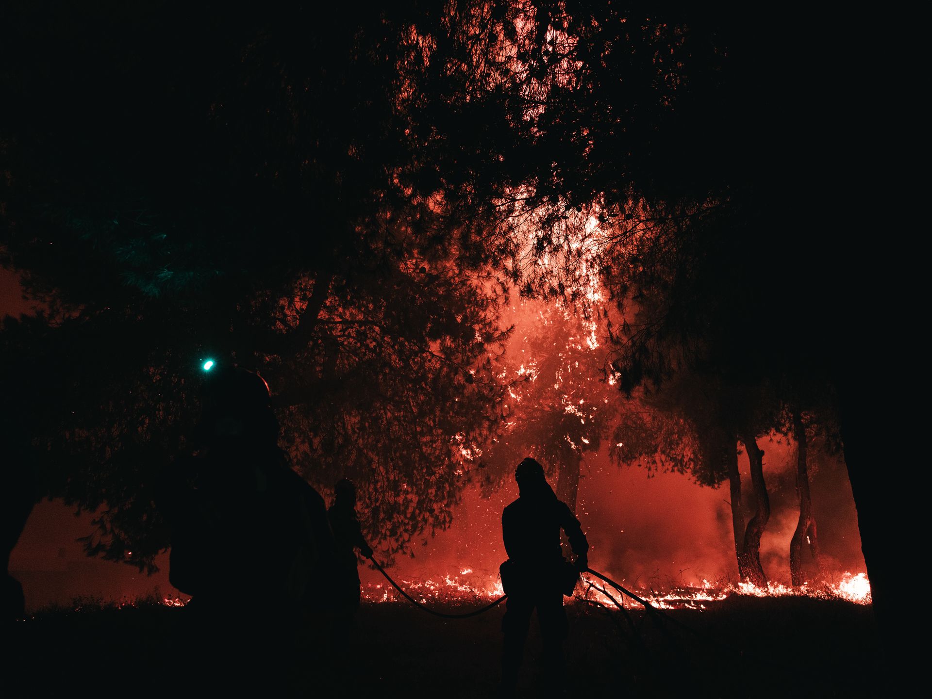 Piekielne upały w Grecji. Płoną lasy