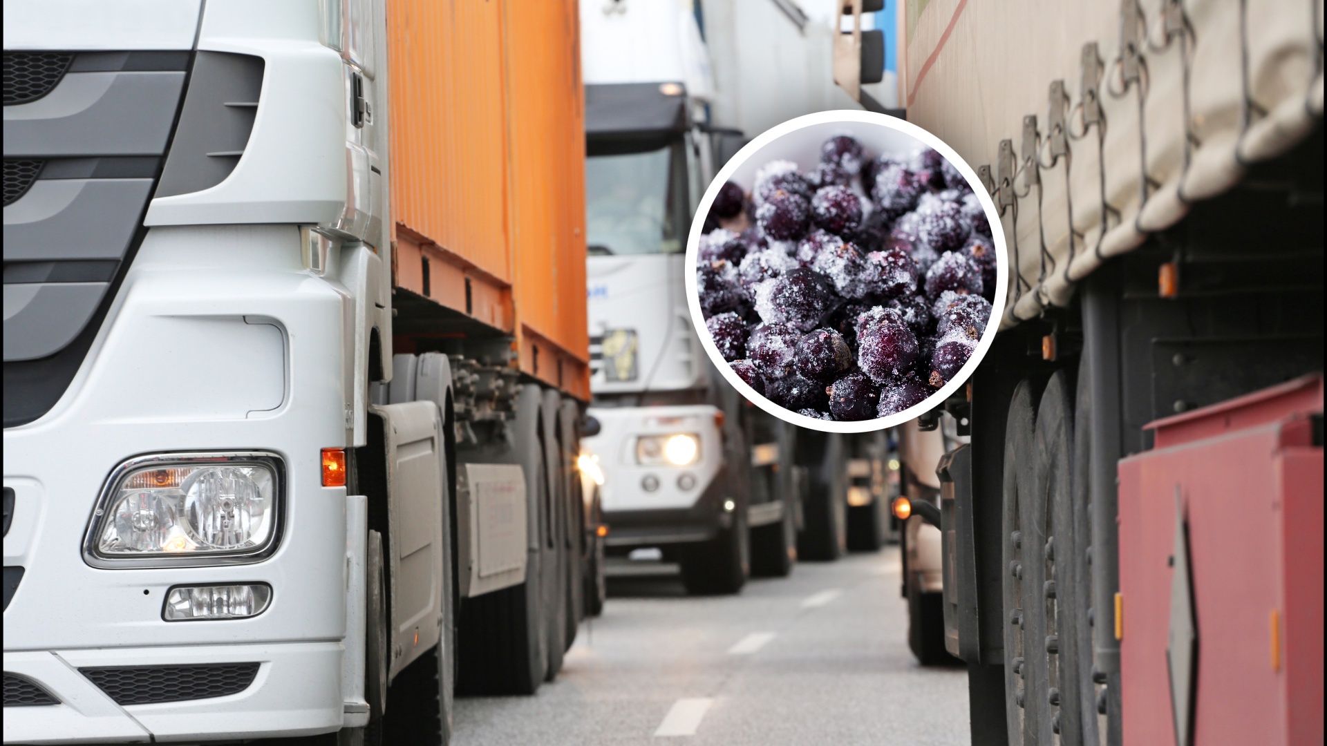 Zatrzymali transport z Ukrainy. Oto co miało trafić do Polski
