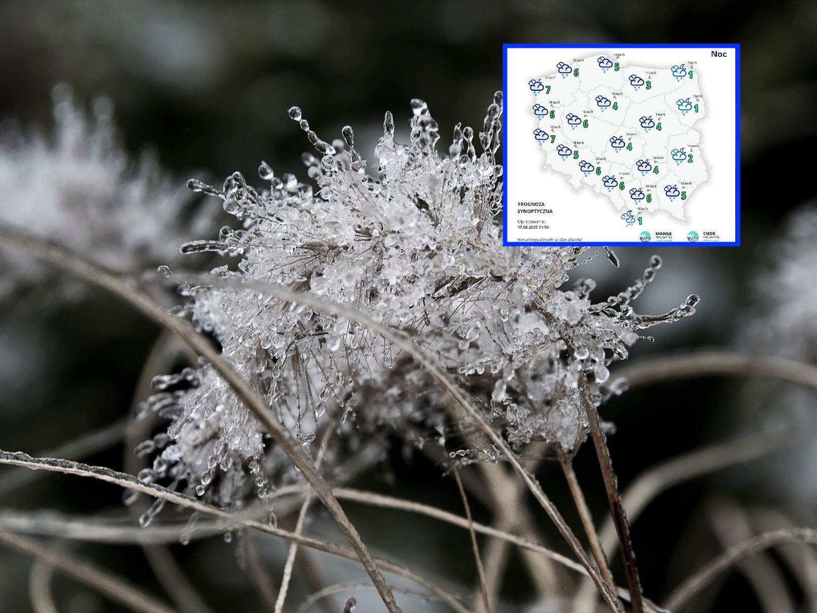 IMGW ostrzega przed przymrozkami. Sześć województw zagrożonych