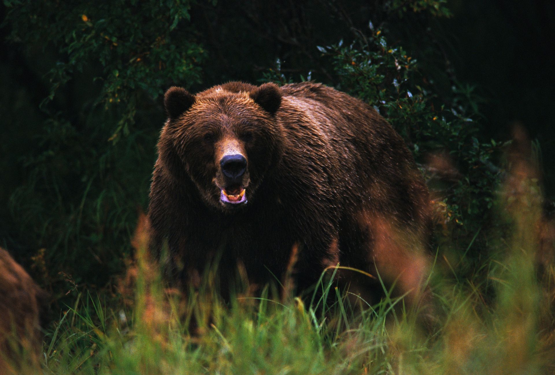 Dramatyczne zdarzenia na Podkarpaciu. Nie żyje kobieta
