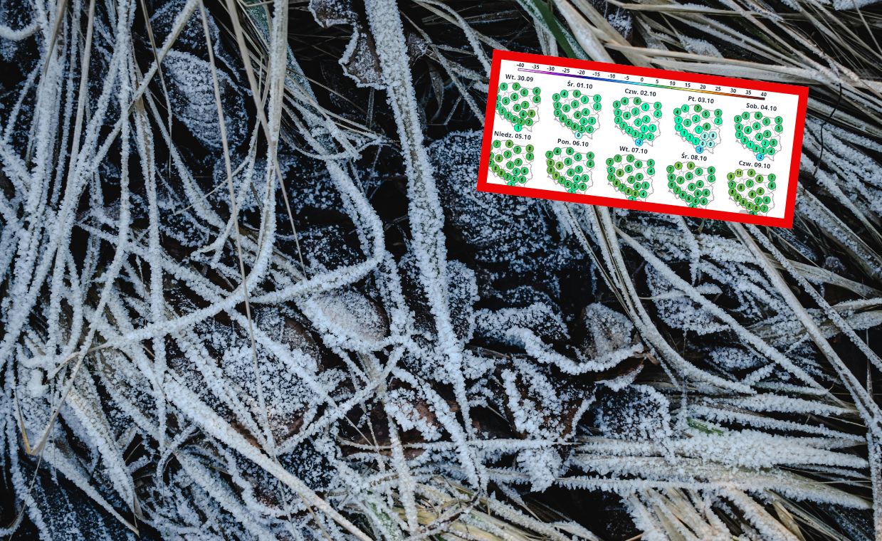 Najbliższe dni zaskoczą. W tych rejonach może przymrozić