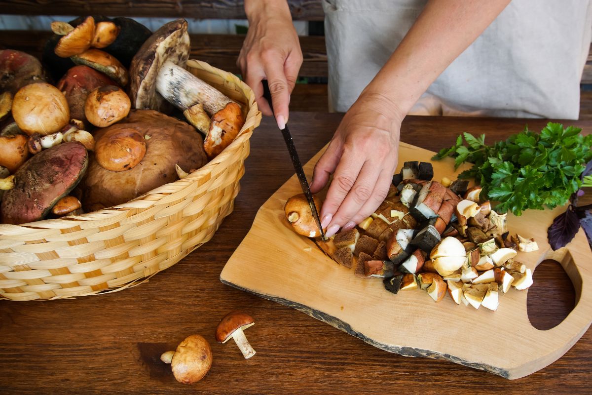 600 zł/kg. Służby tropią handel tymi grzybami. Kary są ogromne