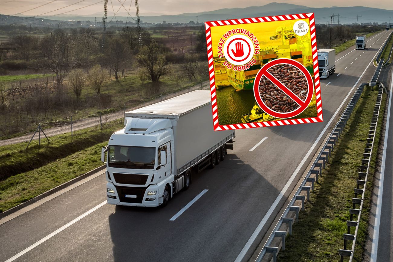 Zatrzymali 23 tys. kg ryżu z Pakistanu. Oto co wykryli