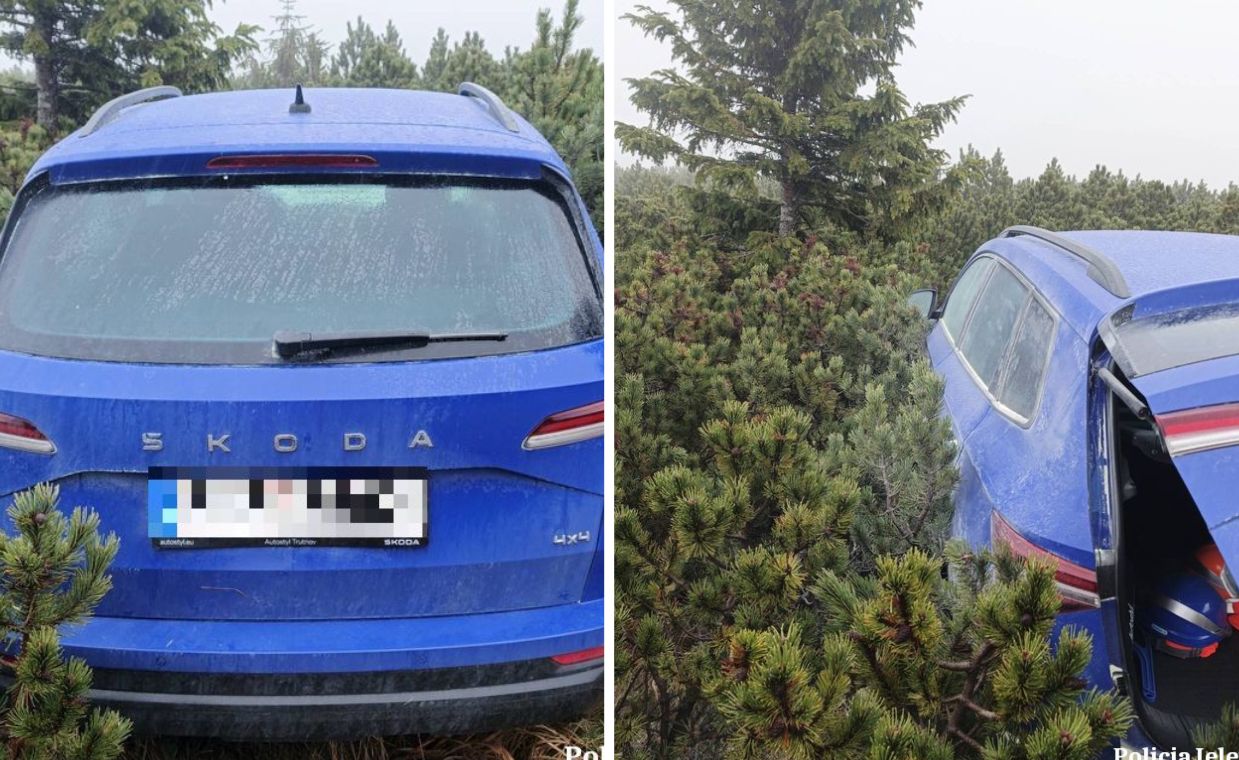Skradzione auto odnalezione pod Śnieżką. Było ukryte w kosodrzewinie