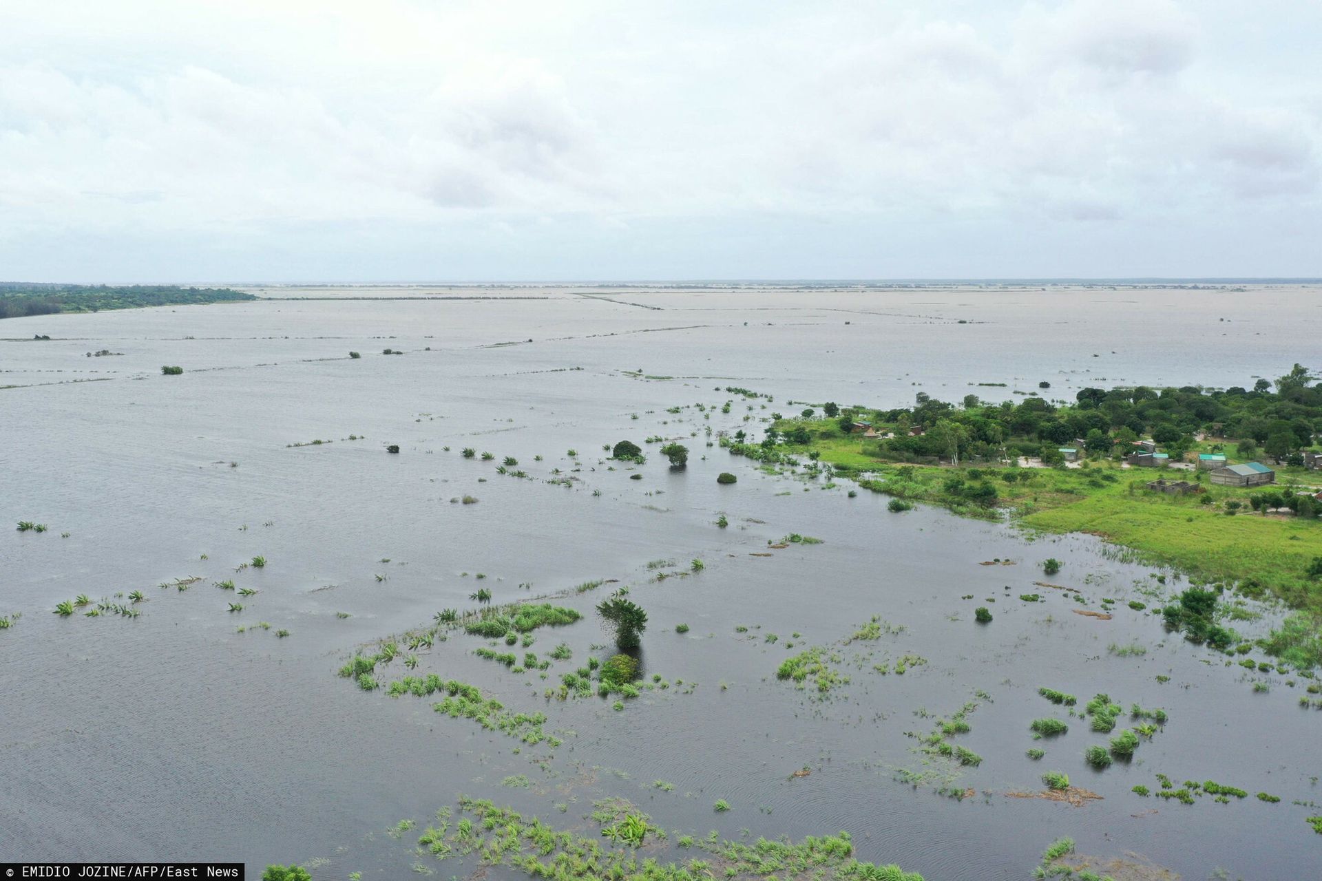 Horror w Mozambiku. Krokodyle i hipopotamy wpłynęły do miast
