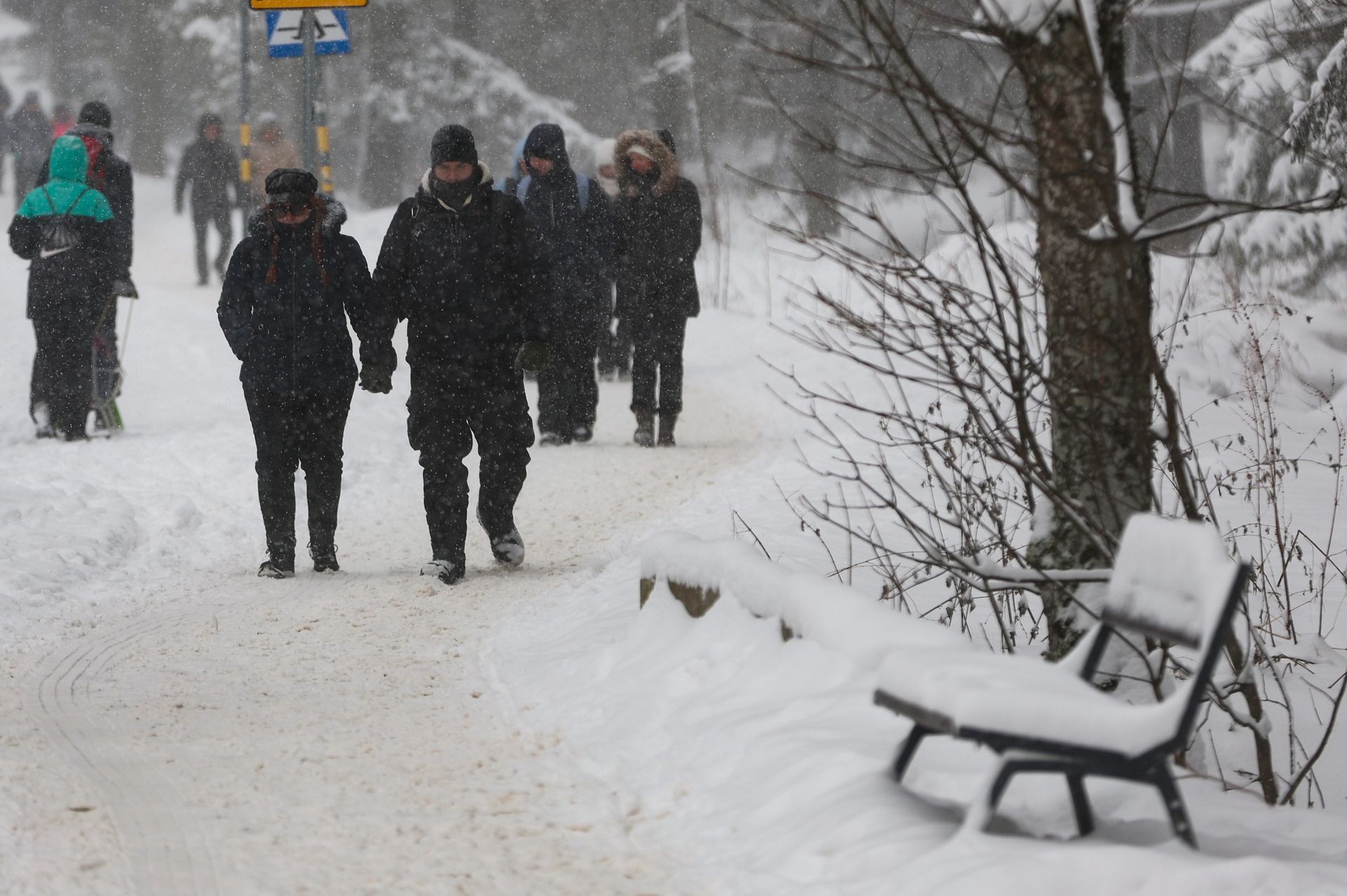 Prognoza IMGW na zimę. Czeka nas "zima stulecia"?