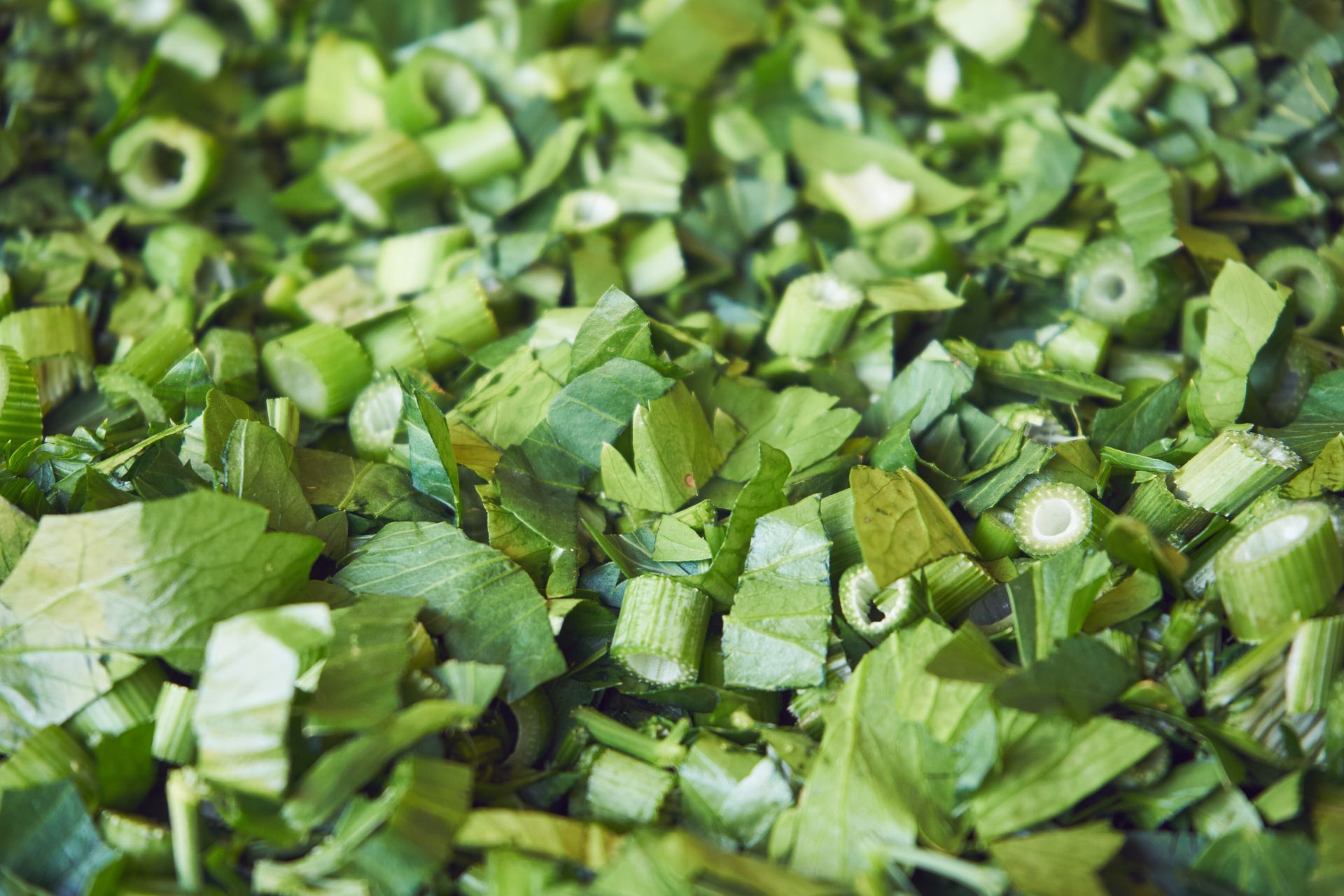 Uważano ją za afrodyzjak. Dziś bez niej trudno wyobrazić sobie rosół, a w ogrodzie urośnie sama