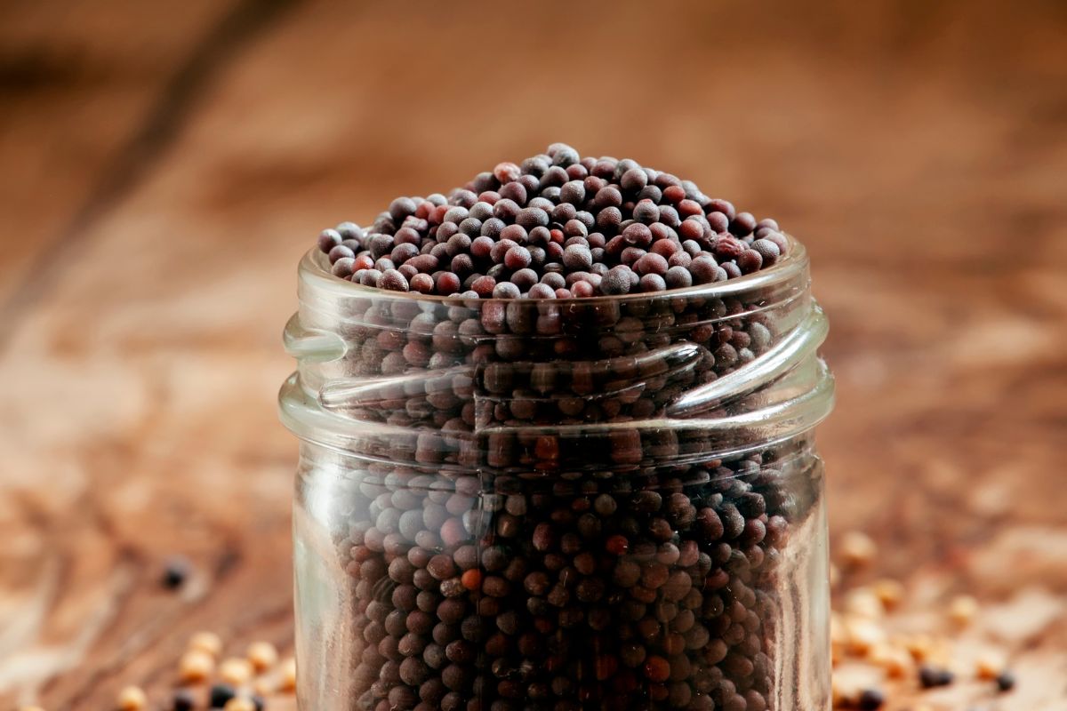 Wystarczy pół łyżeczki do zupy lub gulaszu. Rozgrzewa lepiej niż pieprz i chili