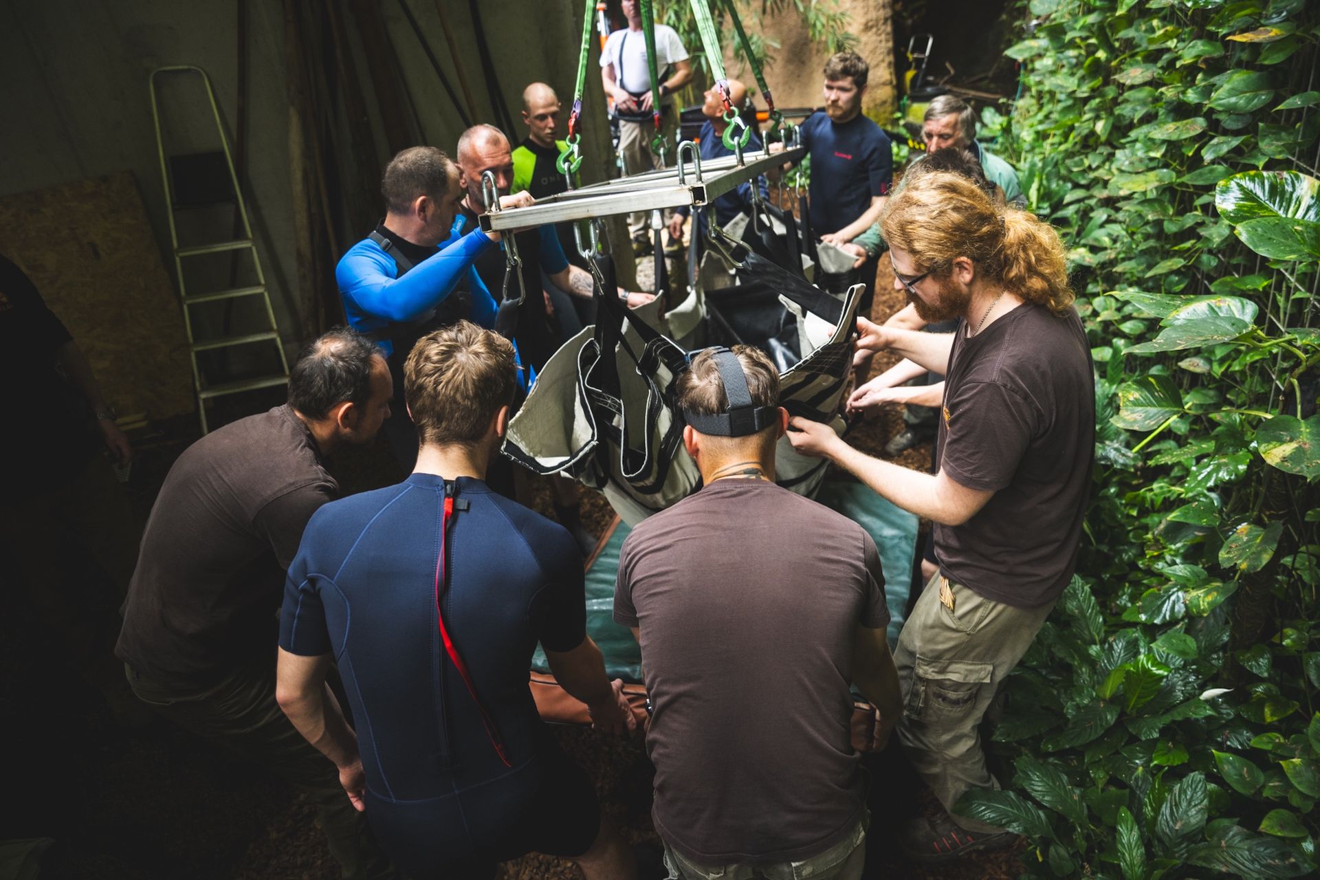 Wyruszył w podróż. W Polsce już go więcej nie zobaczymy