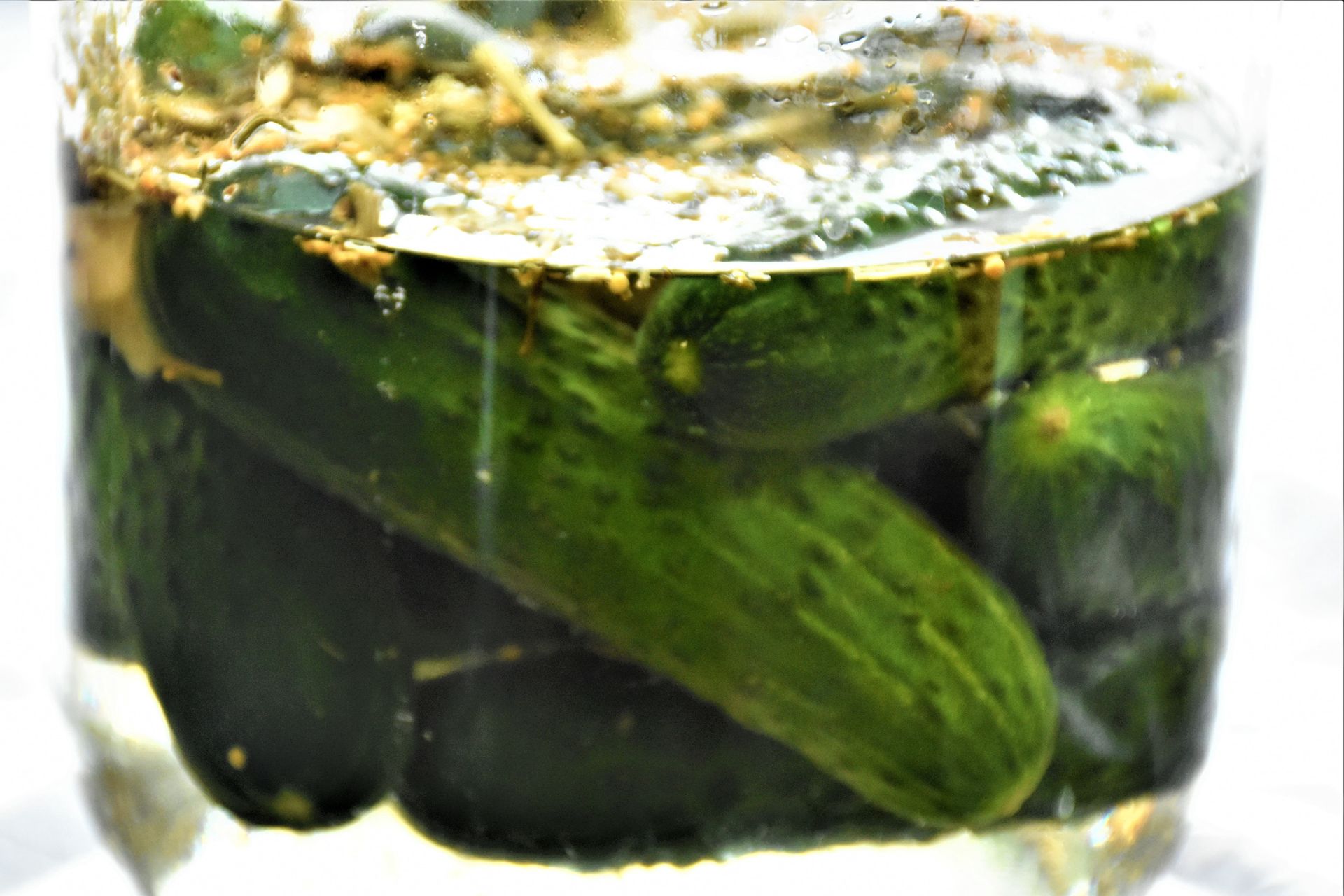 Takiego kopru nie używaj do kiszenia. Ogórki wyjdą gorzkie i trzeba będzie je wyrzucić