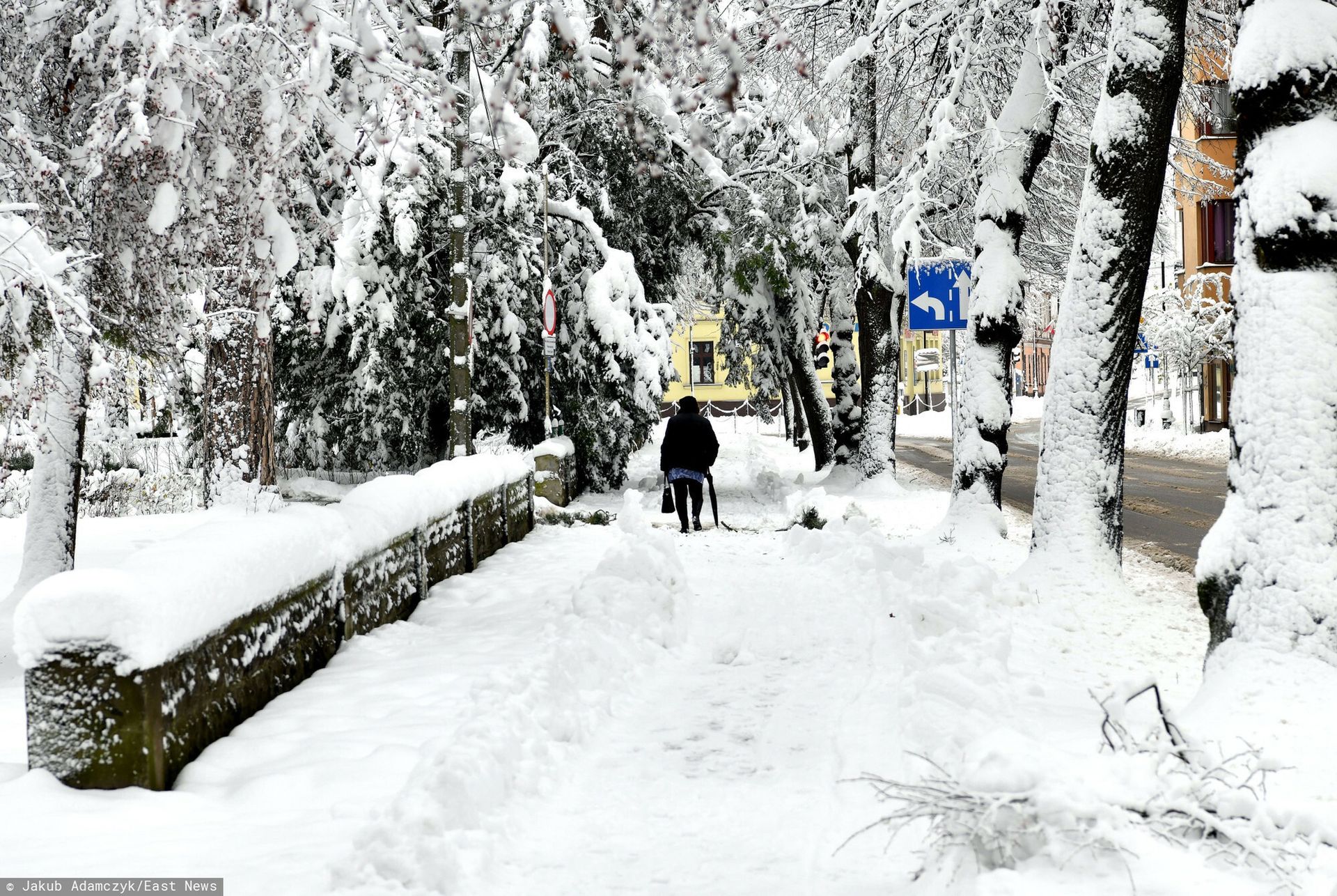 Siarczyste mrozy nawiedzą Amerykę. choćby -40 stopni