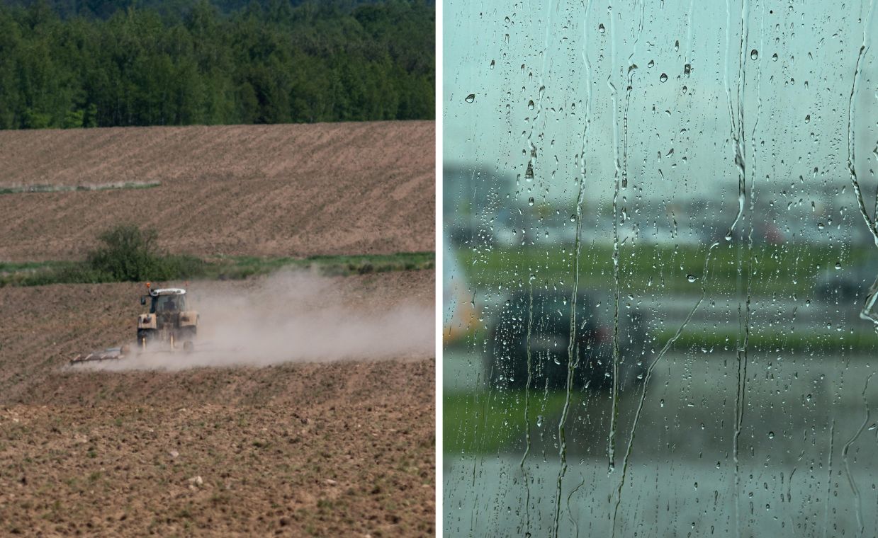Niepokój w prognozie. Deszcz nie wykluczy zagrożenia suszą