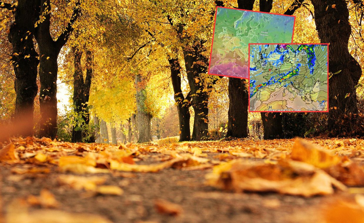 Nadchodzi babie lato. W te dni będzie słonecznie i ciepło