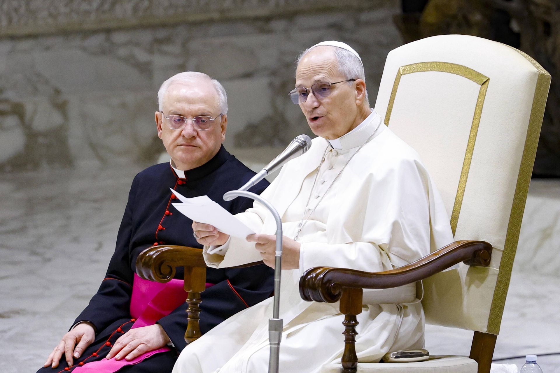 Papież podczas audiencji. Tak zwrócił się do smerfów