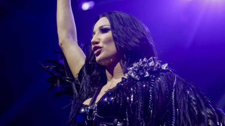 TYLKO NA PUDELKU: Ekspert z Wielkiej Brytanii wyjaśnia, dlaczego eurowizyjne jury TAK SŁABO oceniło Steczkowską!