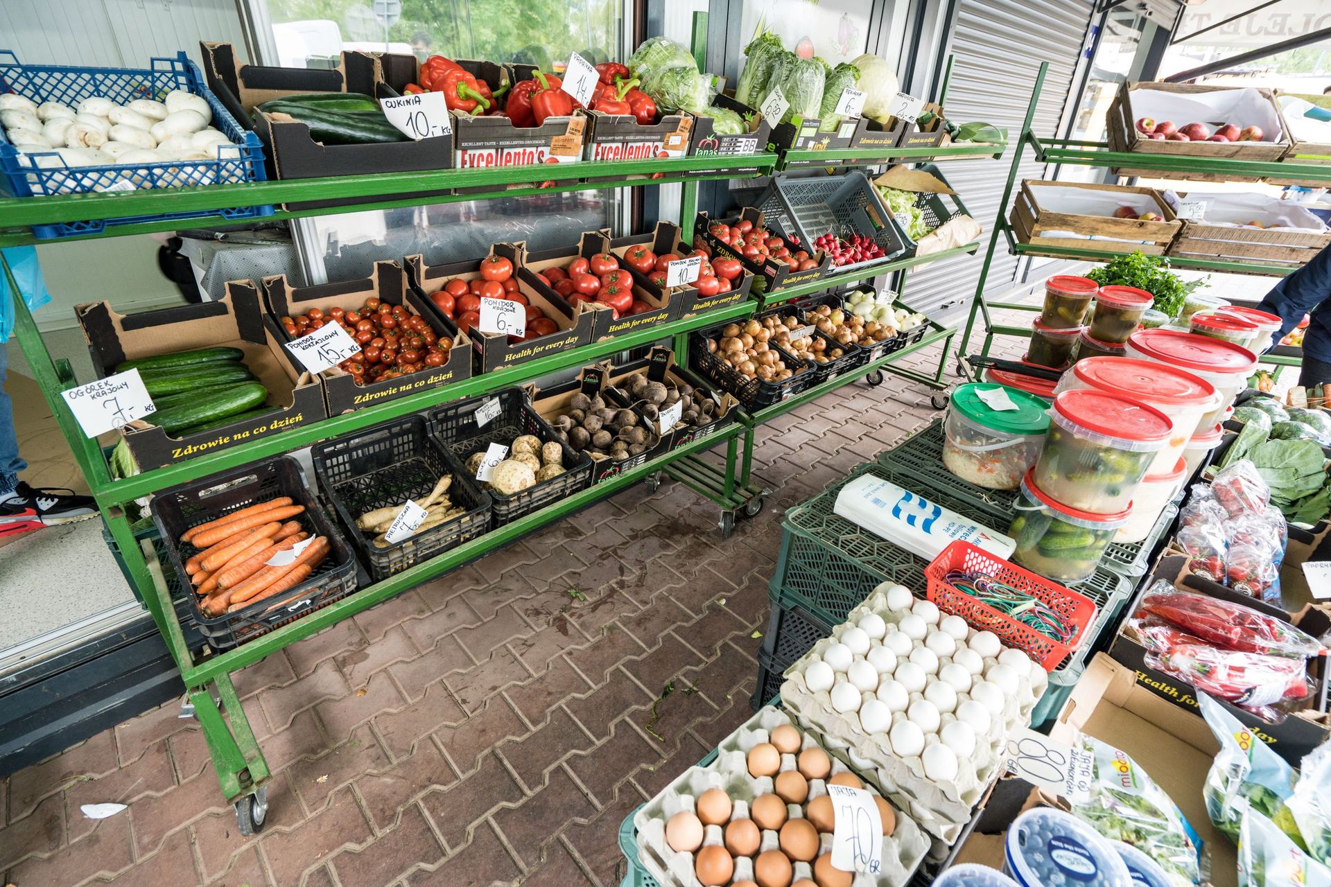 Ruszyły zbiory żurawiny. Ceny są zaporowe