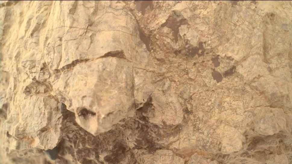 Marsjański "żółw". NASA pokazała niezwykłe zdjęcie