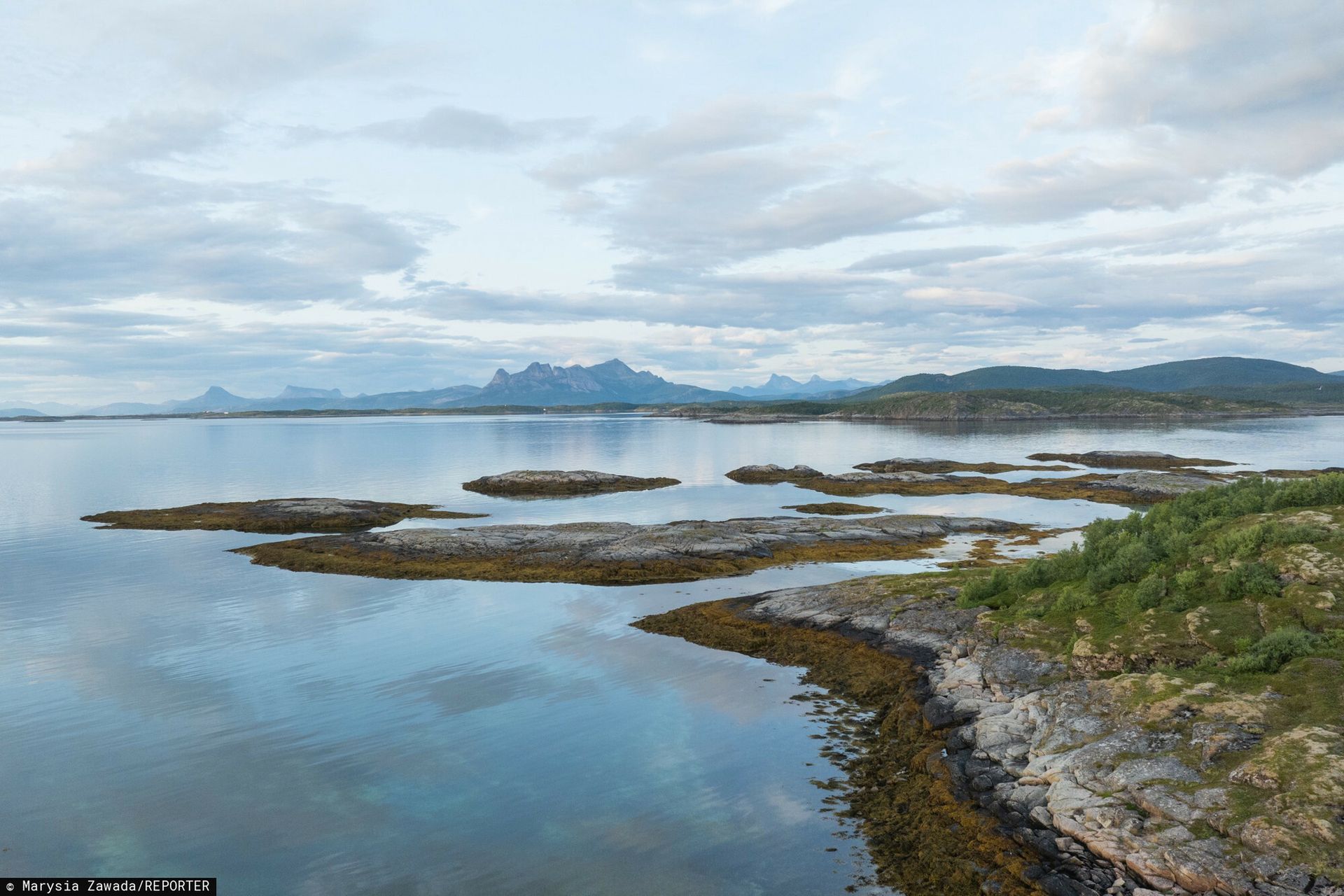 Podwodne fale upałów. Problemy Norwegii