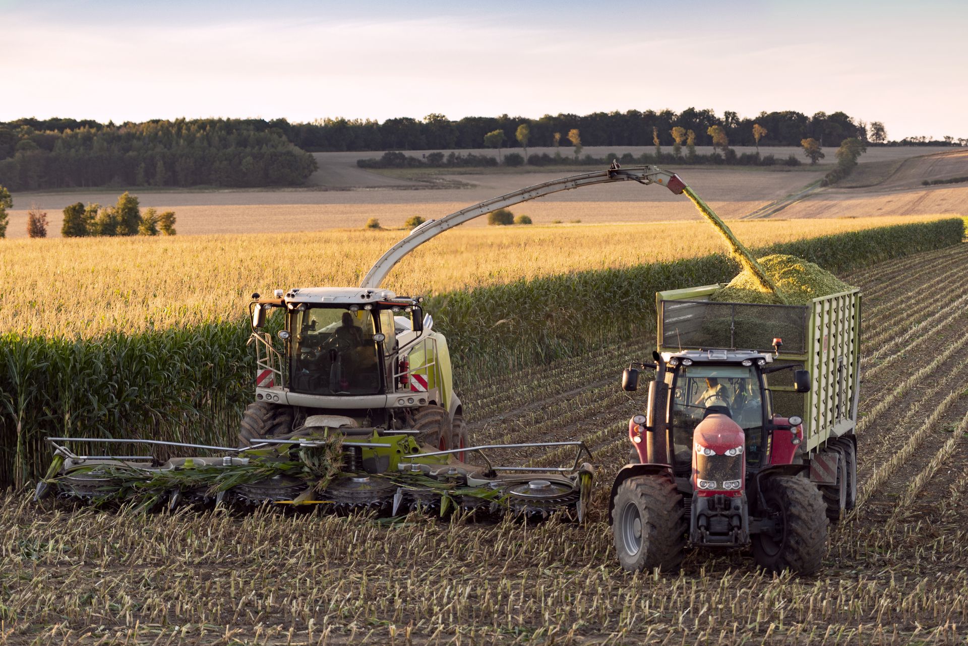"Rolnicy o tym choćby nie słyszeli". Sejm przegłosował wysokie kary