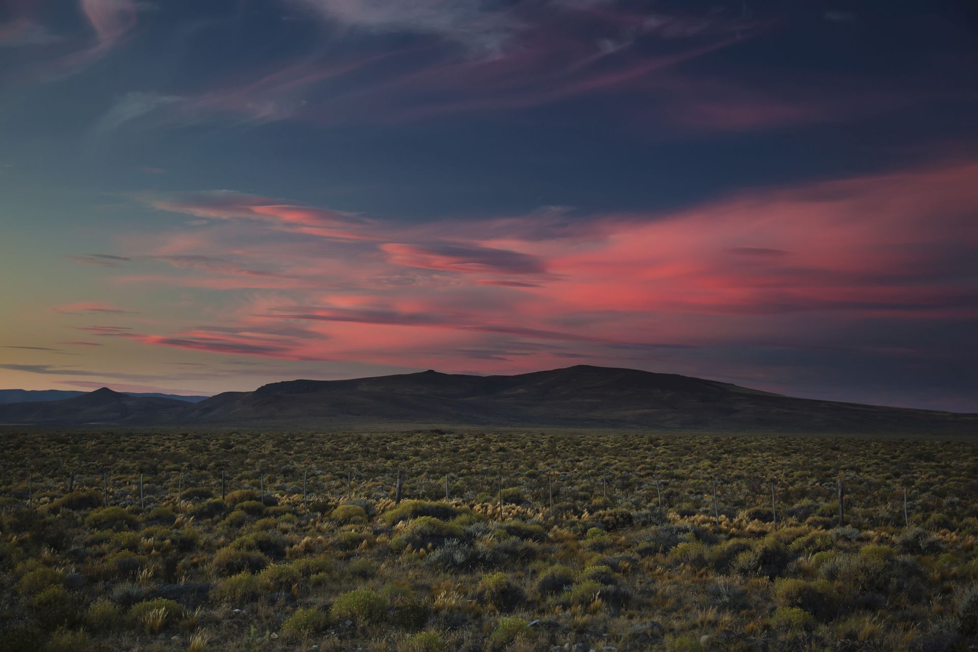 Znaleźli nieznaną linię genetyczną. Ma ok. 8500 lat