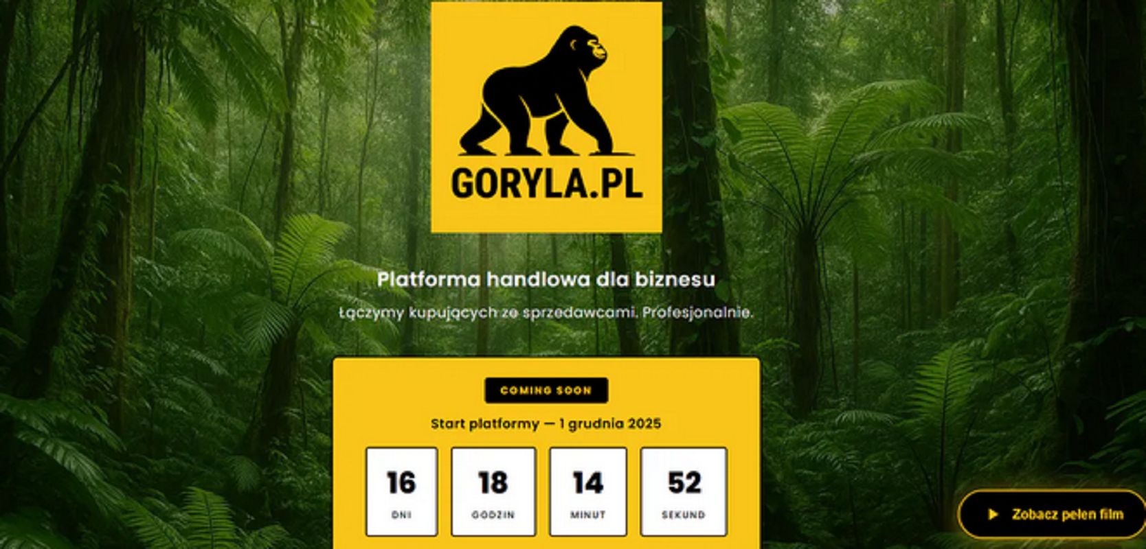Republika zapowiada platformę e-commerce. Eksperci: Goryla.pl na razie bez treści i strategii