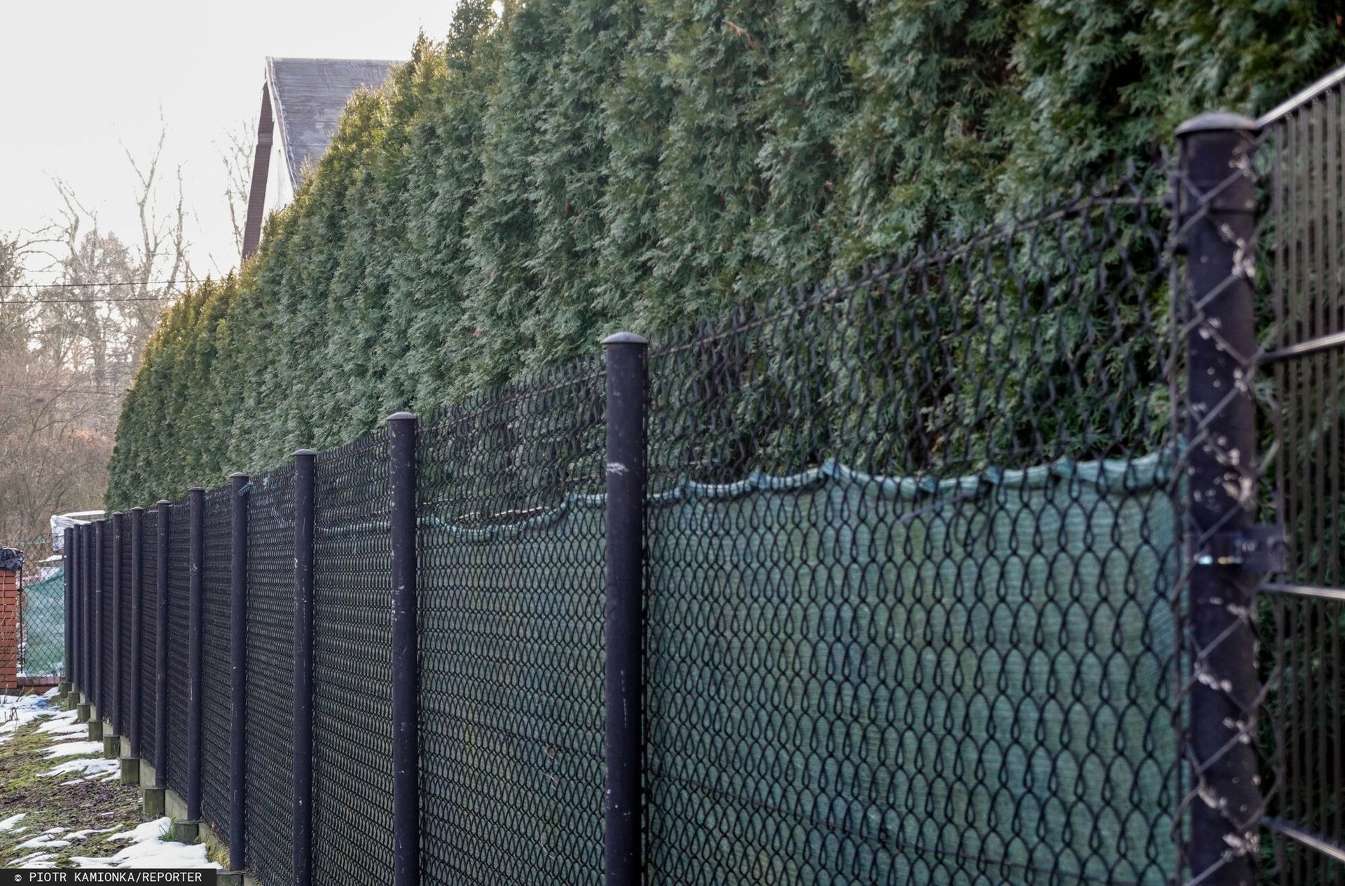 Sąsiad stawia ogrodzenie i chce pieniędzy? Oto co mówią przepisy