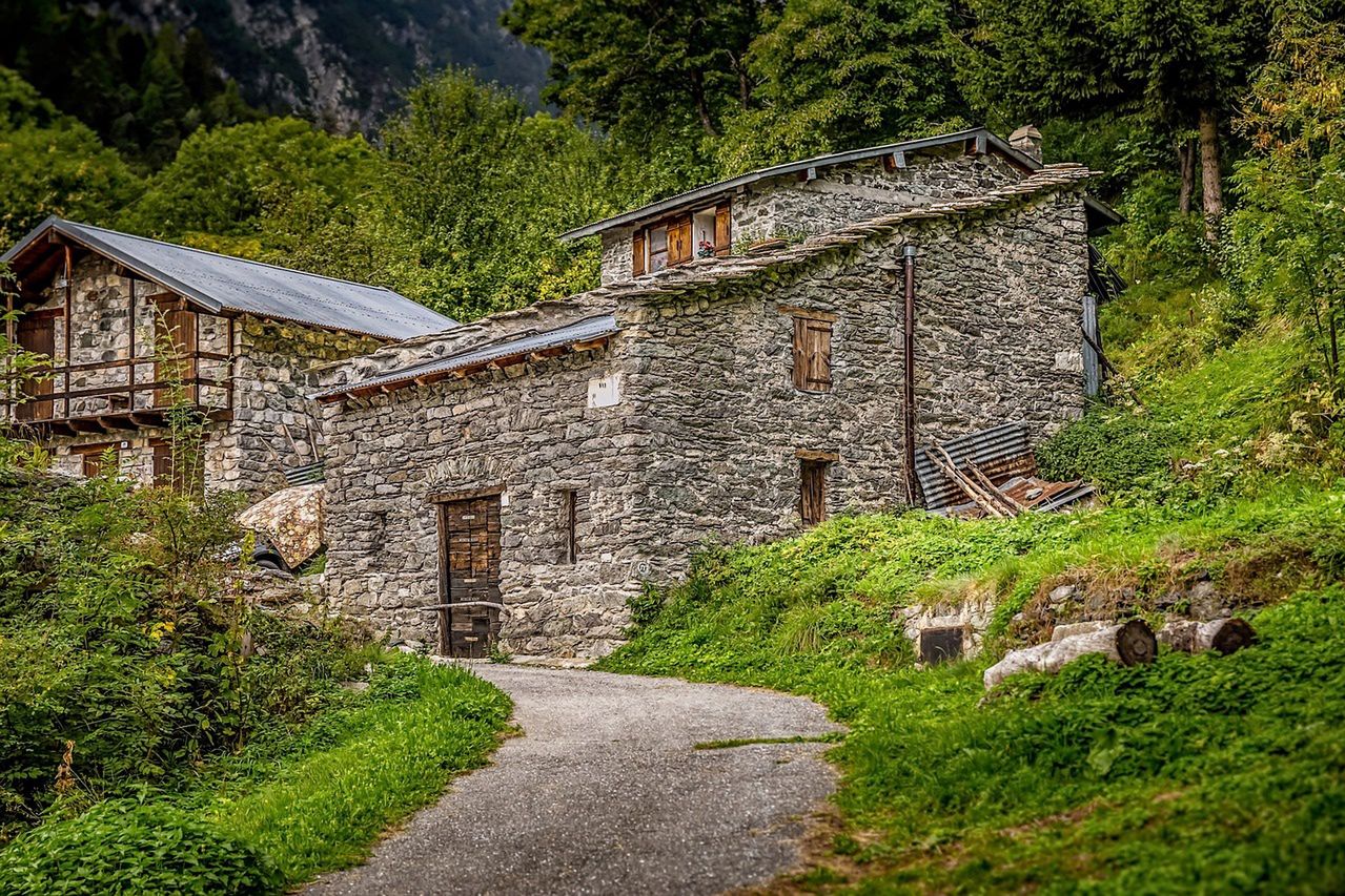 "Leśne duchy". Wychowywali dzieci w izolacji, bo bali się chorób