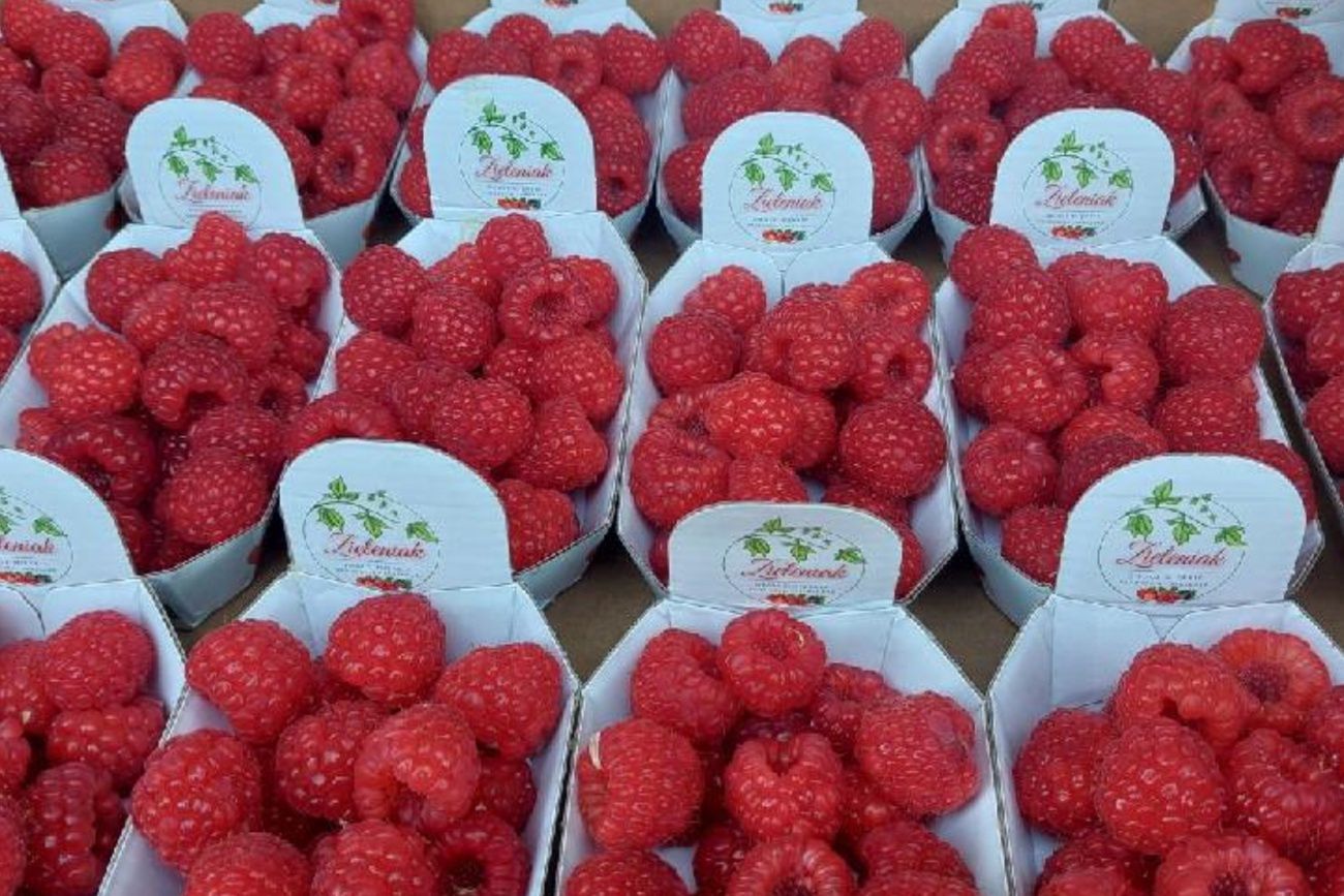 Kosmiczna cena "obłędnych" polskich malin. "Za atrakcje się płaci"