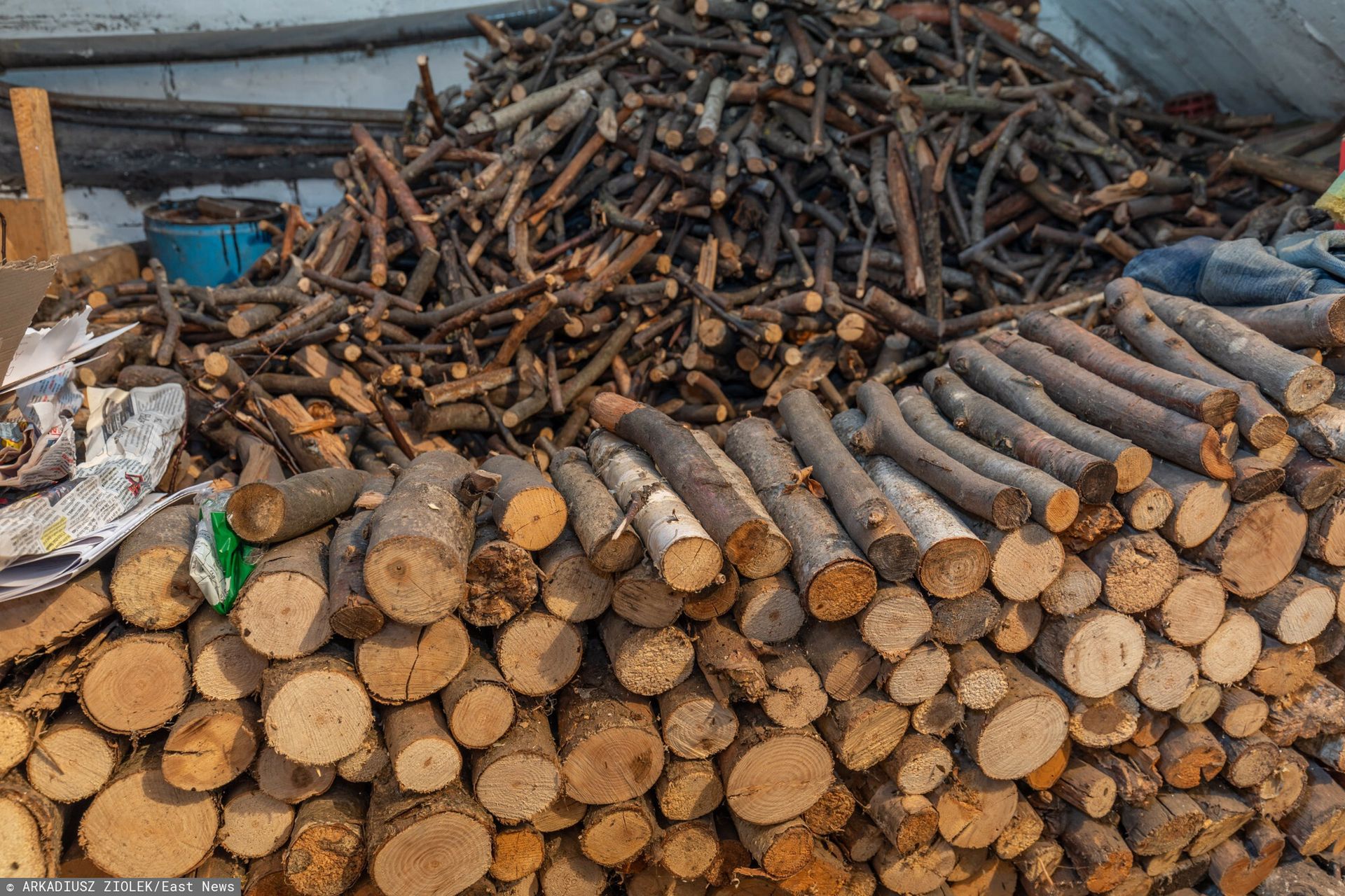 Ceny opału na koniec września. Tyle kosztuje metr drewna