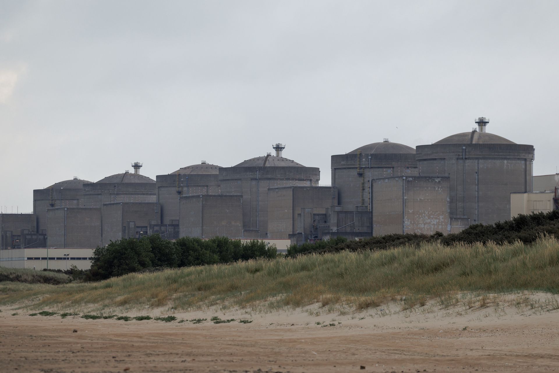 Francuska elektrownia atomowa zamknięta. Powodem są meduzy