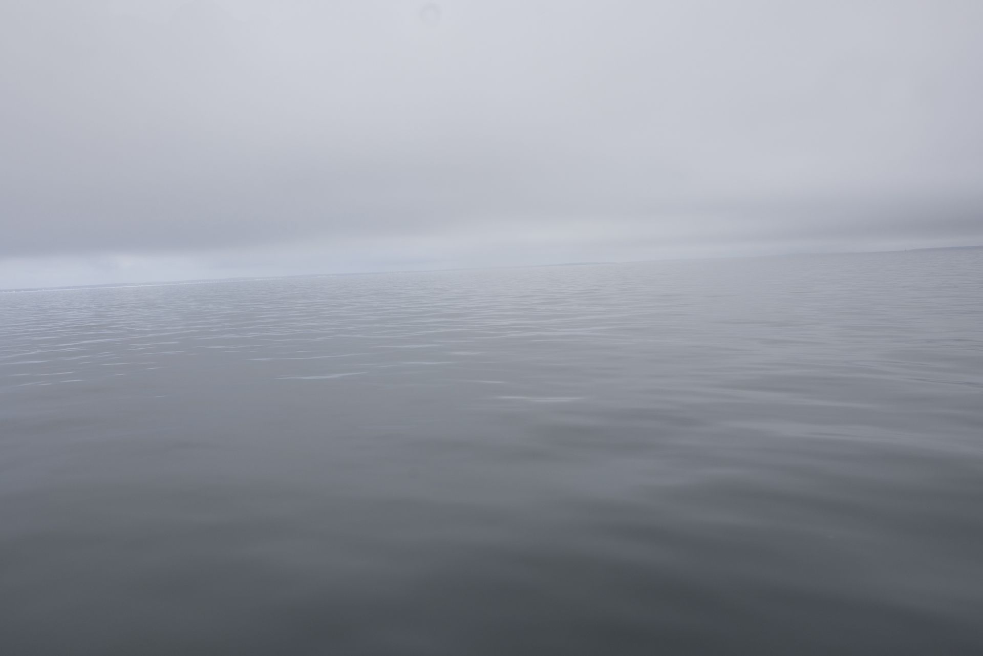 Małże ostrzegają. Atlantyk na progu destabilizacji