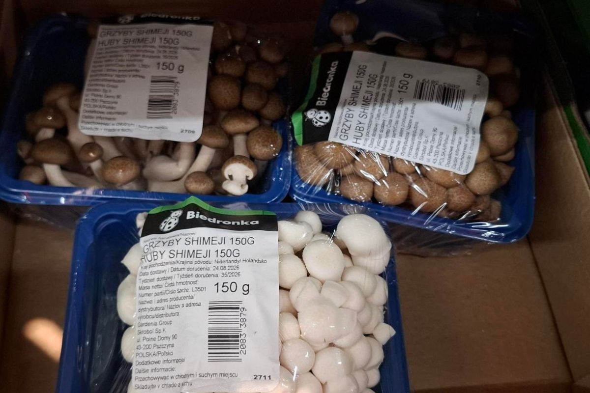 Leżą w sklepie obok pieczarek, ale mało kto kupuje. Świetnie pasują do pierogów i mięs