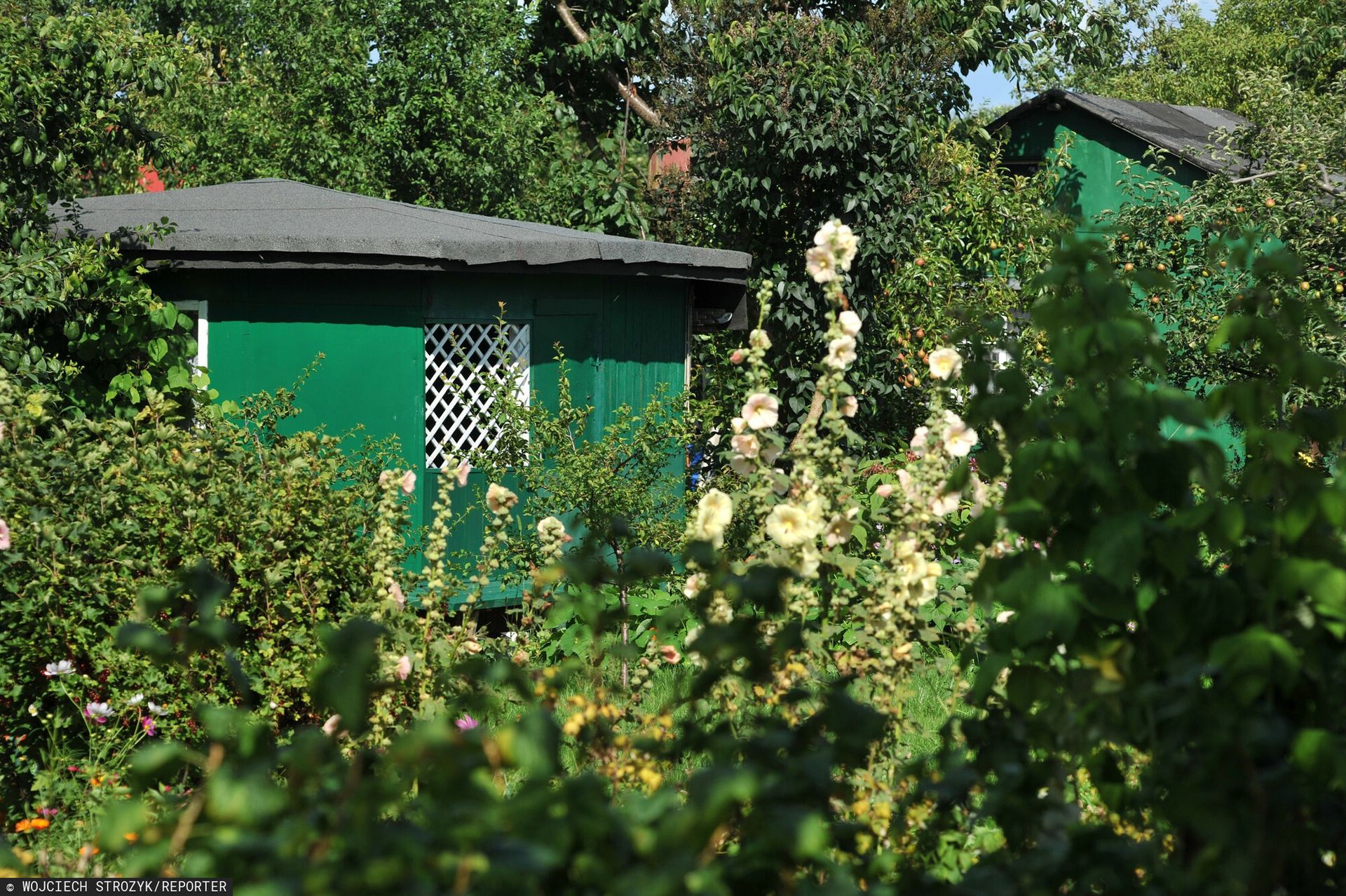 Zrobisz to na działce, więcej na nią nie wejdziesz. Bolesne sankcje