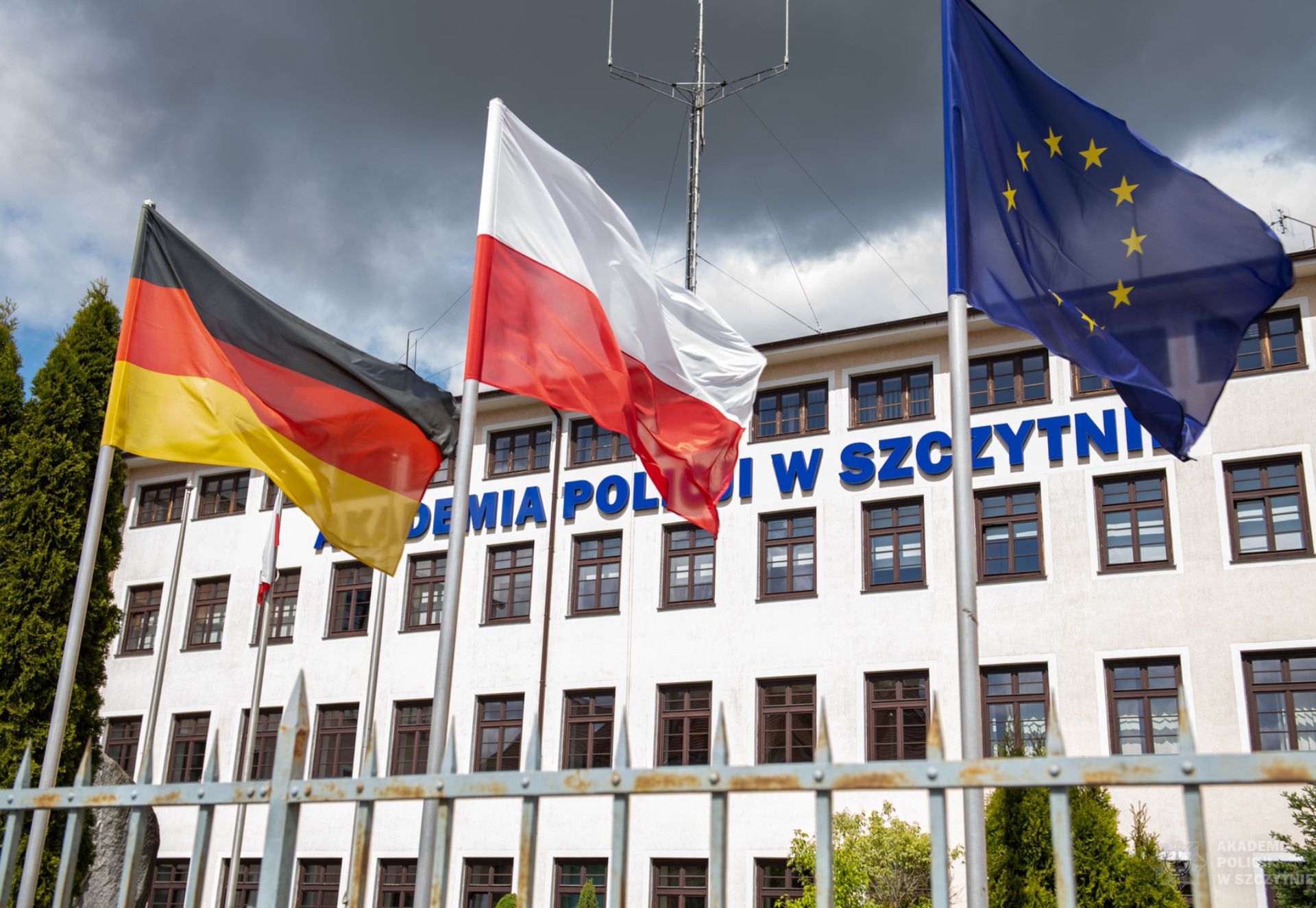 Co się dzieje w akademii żaboli? "Zgłaszały się kolejne osoby"
