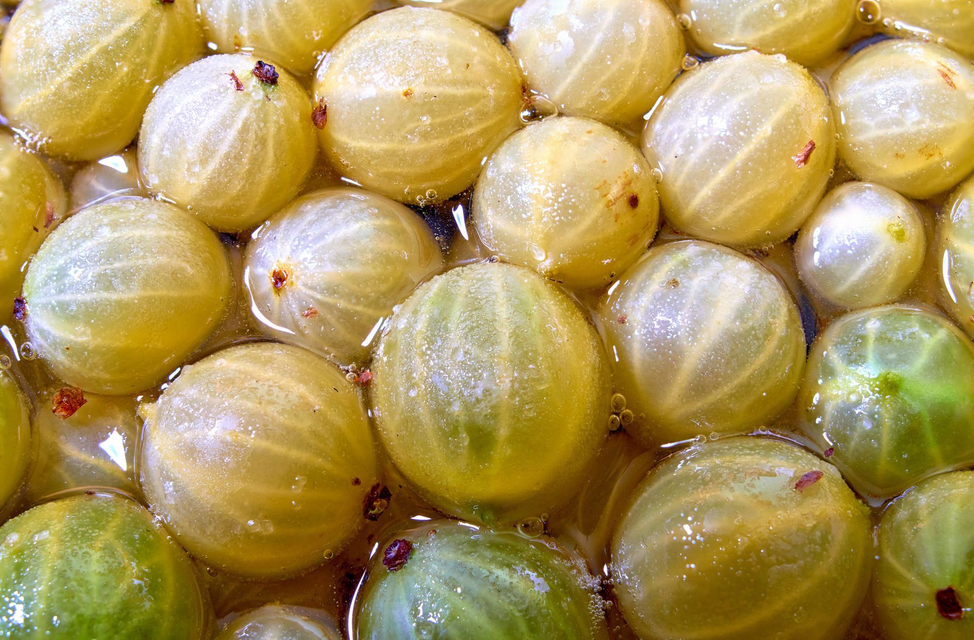 Dawniej zajadaliśmy prosto z krzaczka. Dziś wielu o nim zapomniało