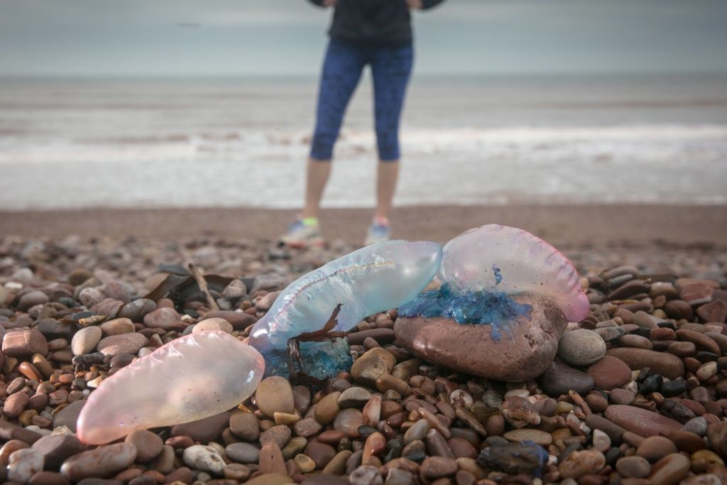 Zamknięte plaże w Europie. Służby ostrzegają przed tym