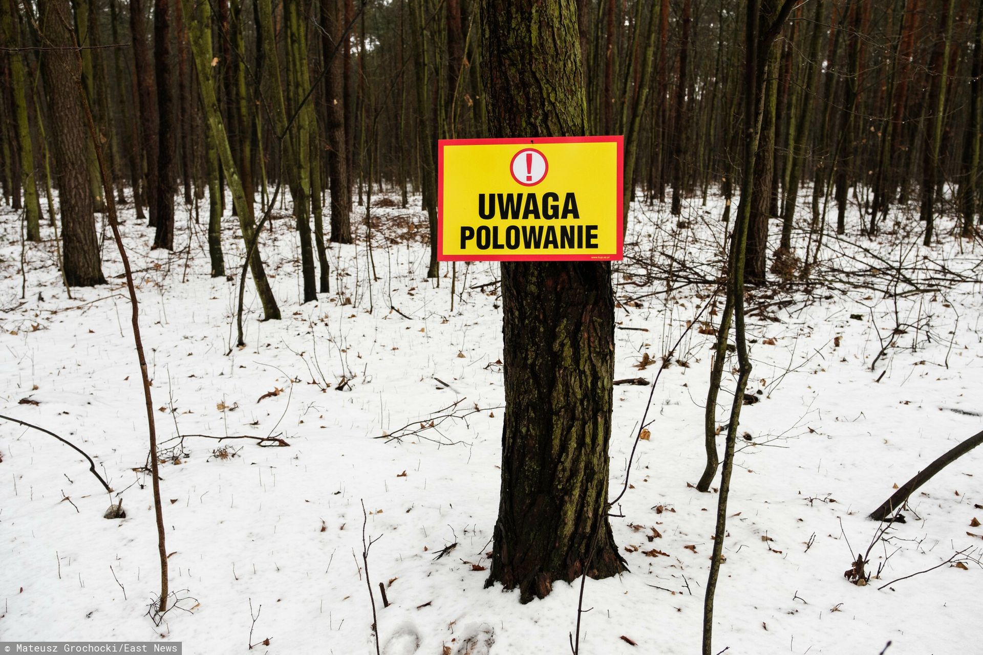 Jest podejrzany o zabójstwo. Wyszedł na święta z aresztu