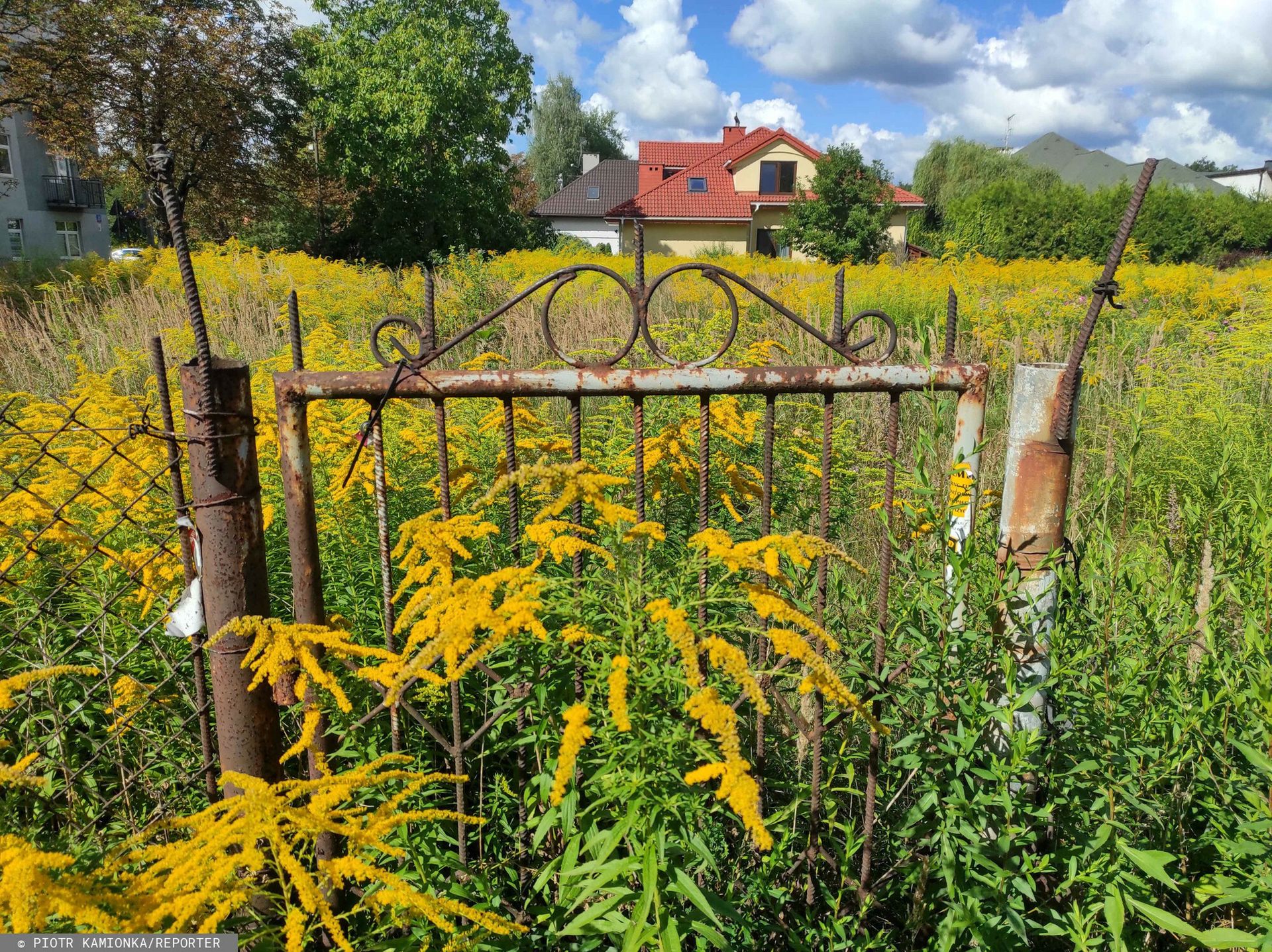 Jak zasiedzieć działkę sąsiada? Sąd Najwyższy orzekł w takiej sprawie