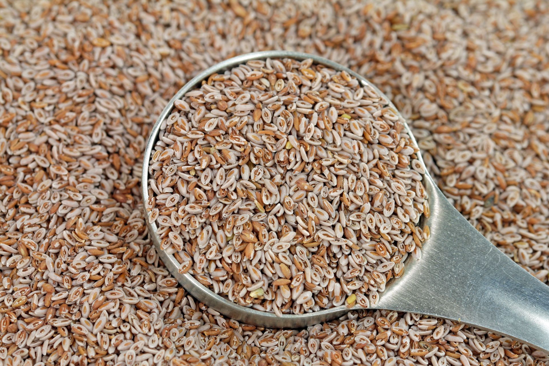 Wystarczą 2 łyżeczki dziennie. Działa na jelita jak balsam i skutecznie wymiata wszystkie złogi