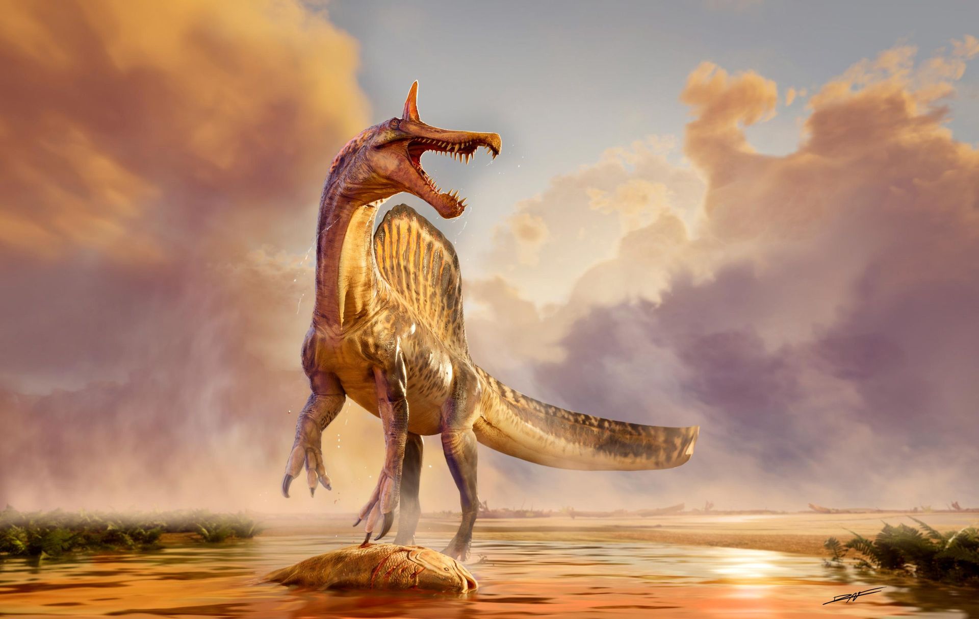 Odkryli szczątki nowego dinozaura w sercu Sahary. Miał gigantyczny grzebień