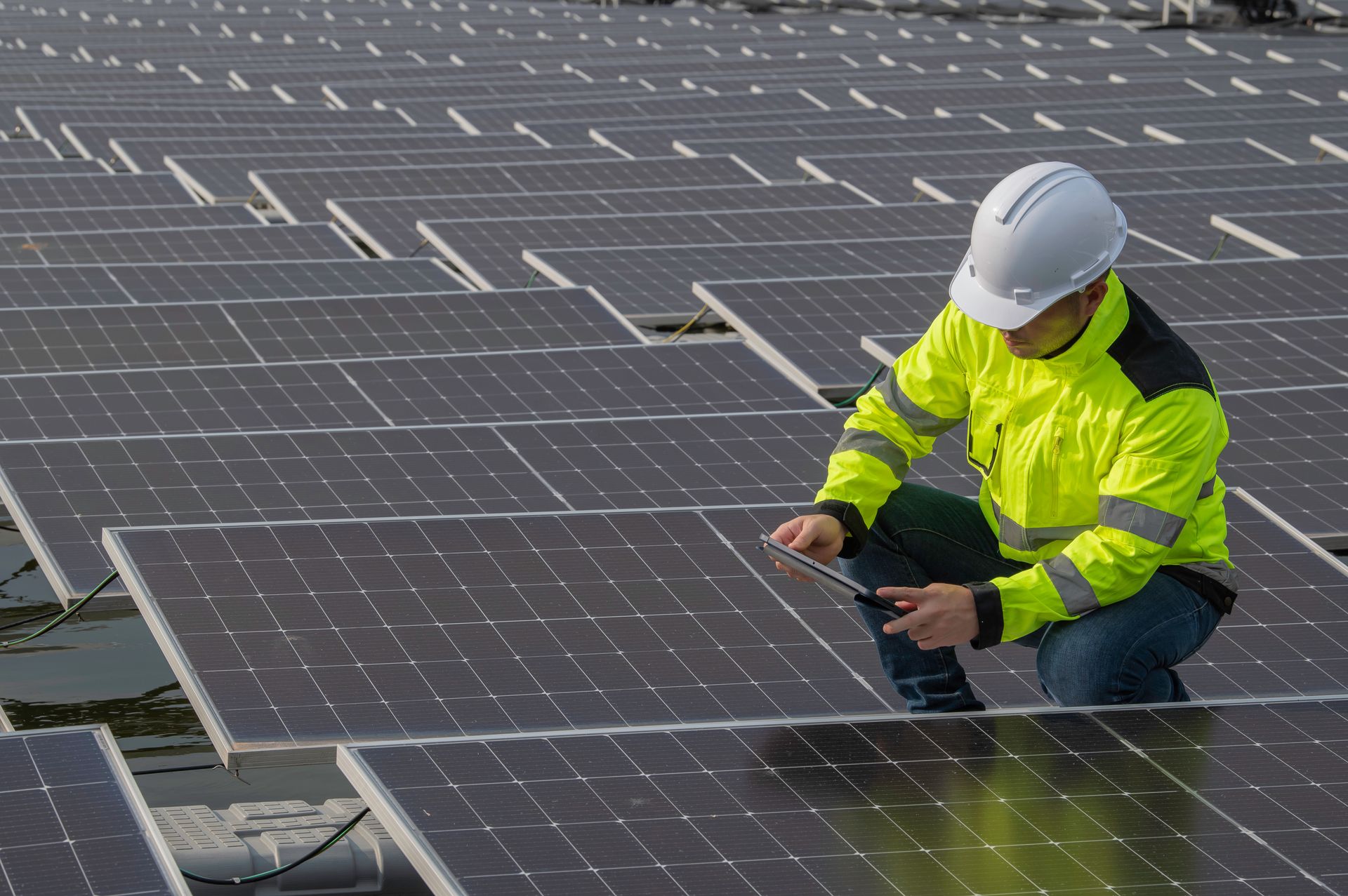To będzie największa farma fotowoltaiczna w Polsce. Szukają pracowników
