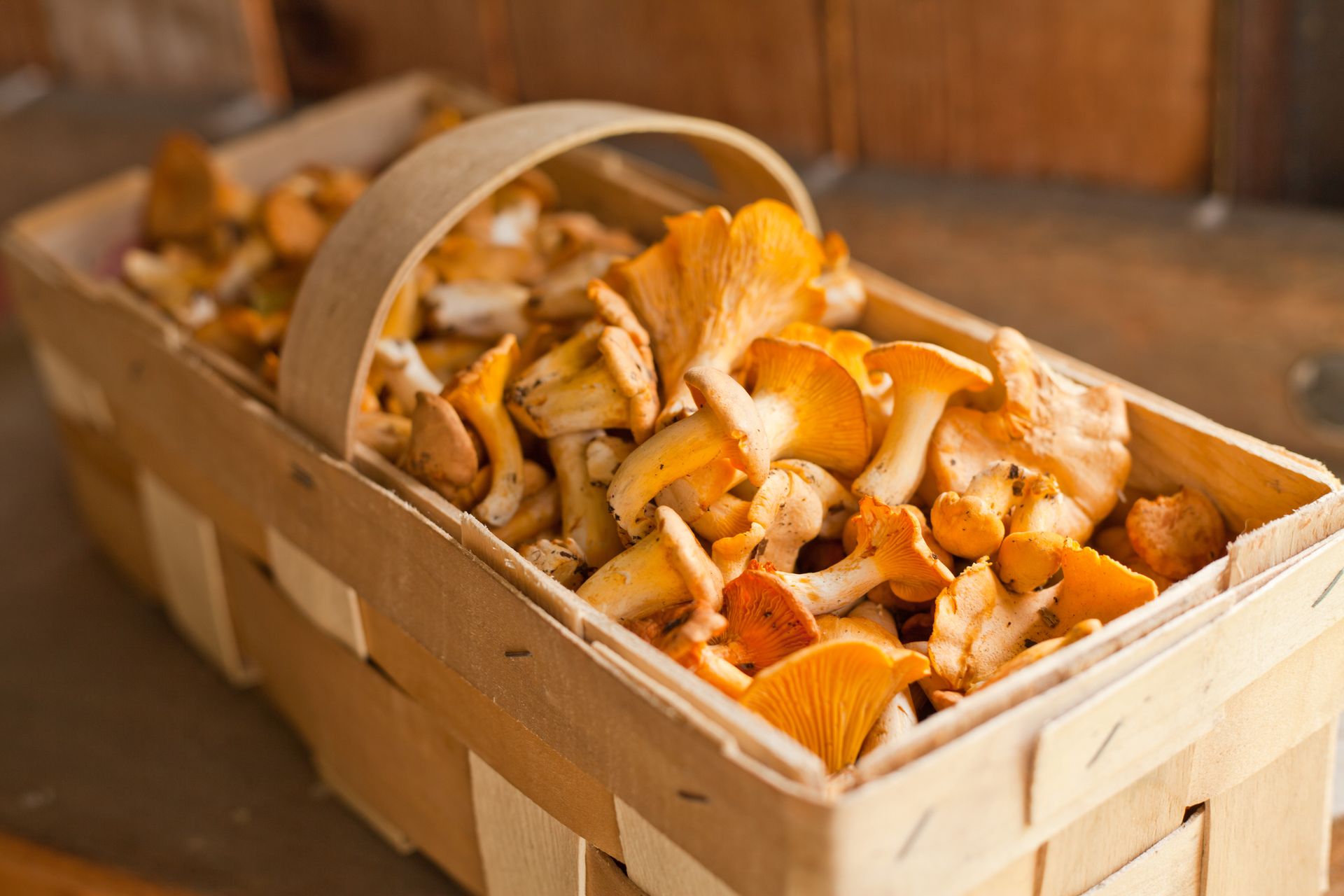 Polacy co roku marnują kilogramy kurek. Wszystko przez prosty błąd