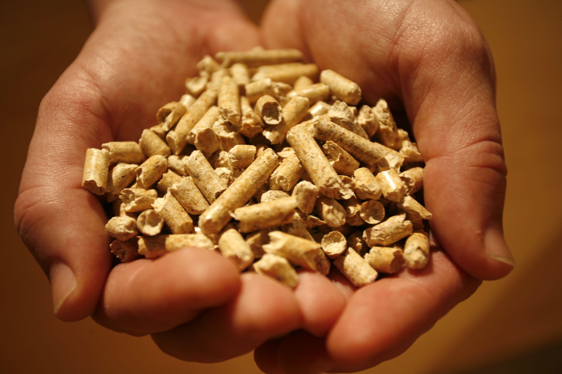 Drogi pellet zmusza Polaków do zakupów za granicą. Na to trzeba uważać