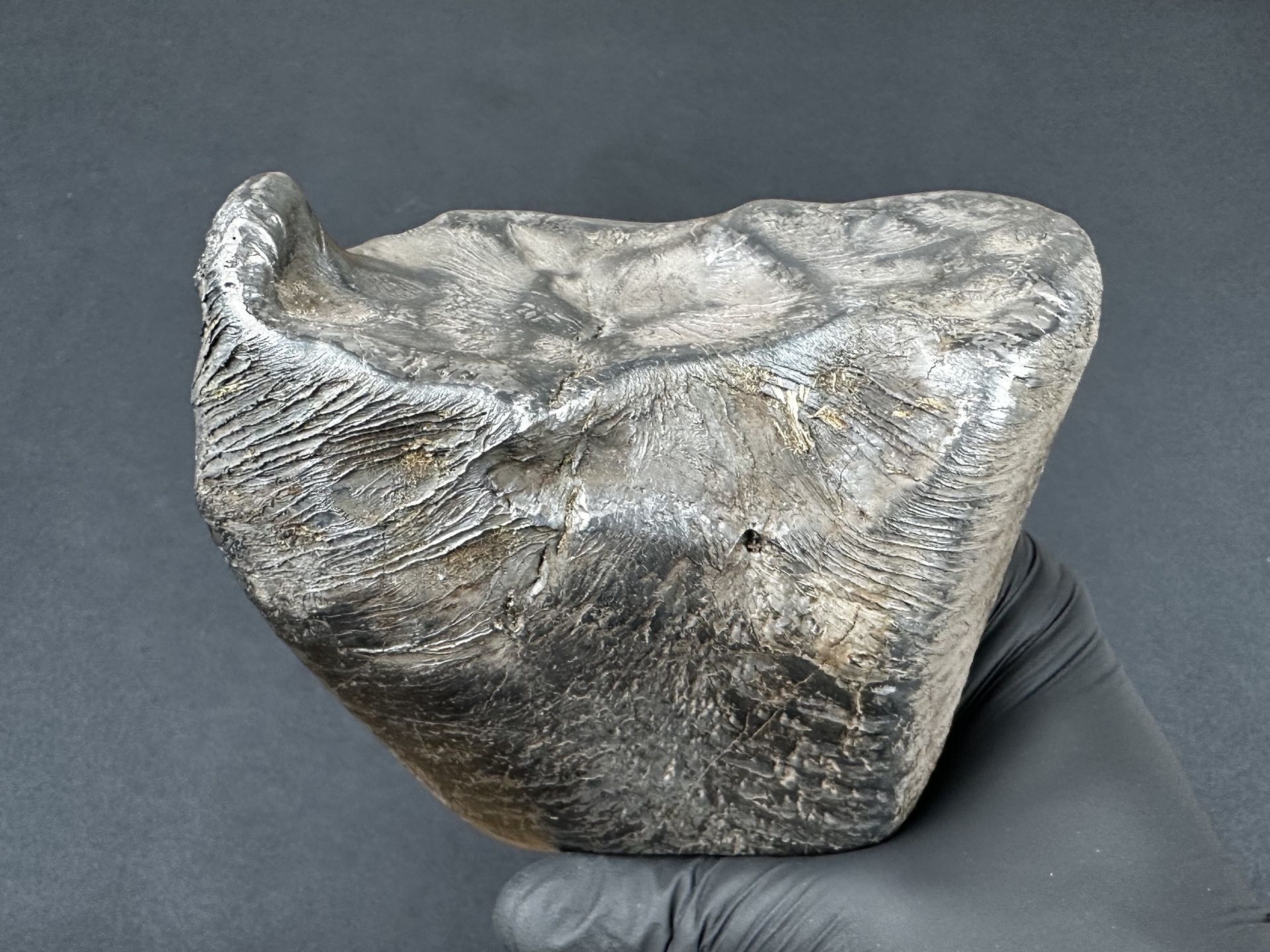 Spadł w gminie Zadzim. Meteoryt waży 2,9 kg